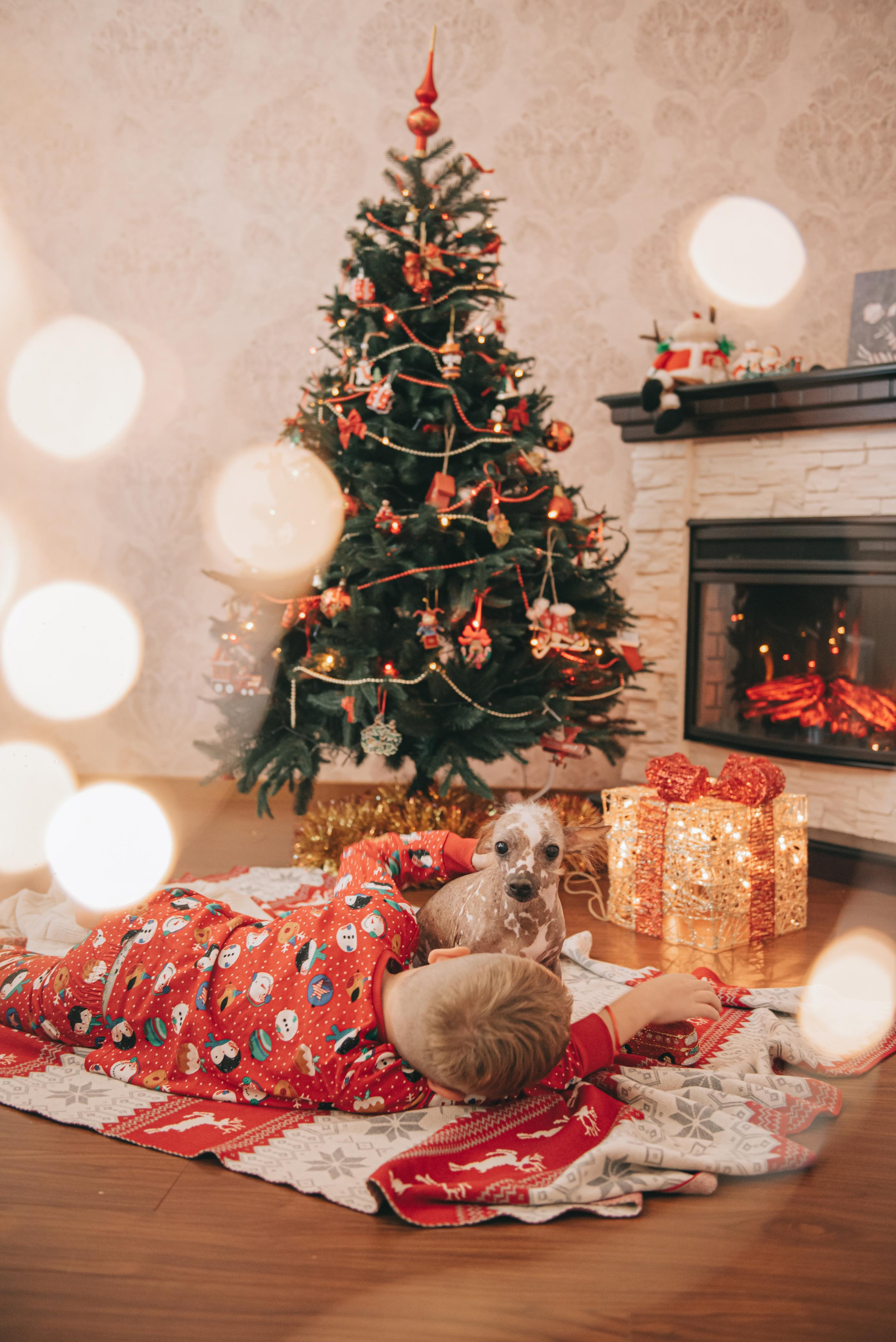 Семейная съемка Рябовых — новогодняя. Фотограф в Краснодаре Зеленкина Дарья