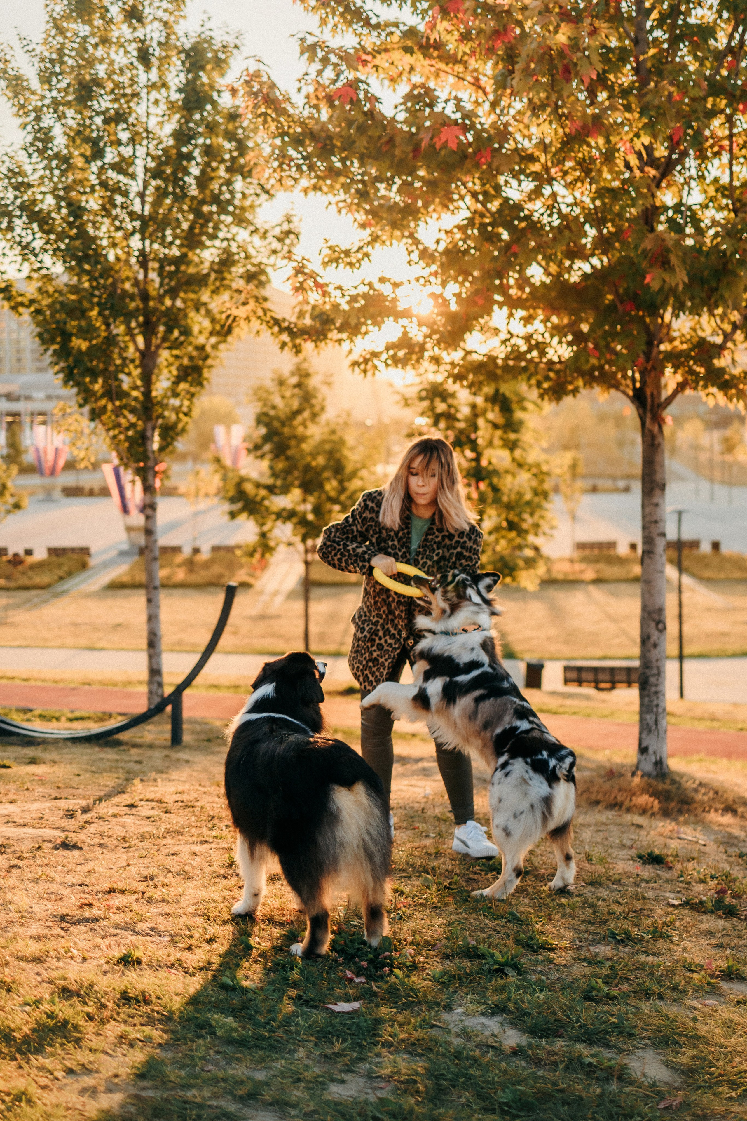 Аня, Чарли и Ева. Фотограф-анималист Елена Радченко, Москва