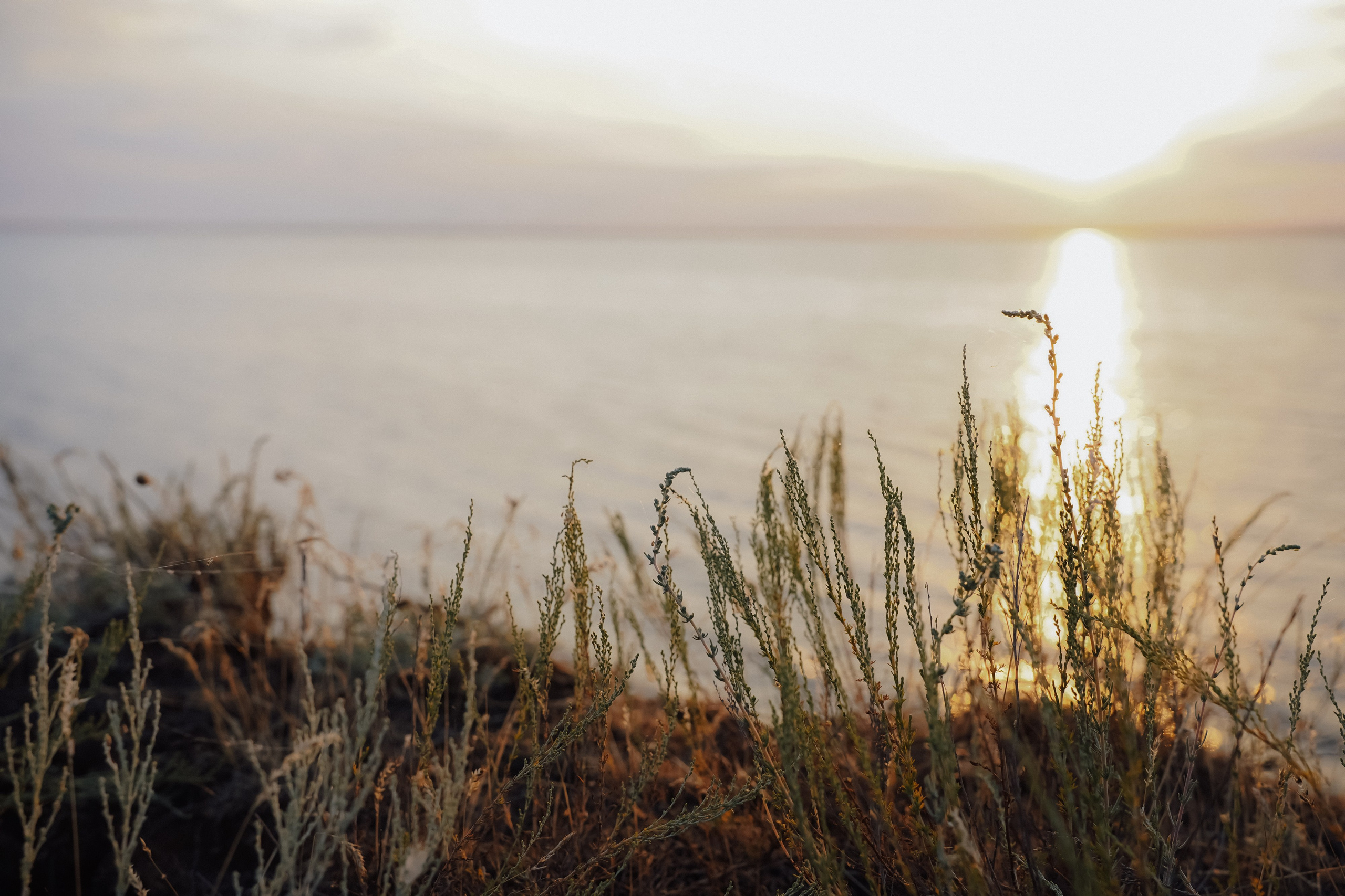 Кирилл и Кристина. Свадебный и семейный фотограф в Волгограде Наталья Наумова