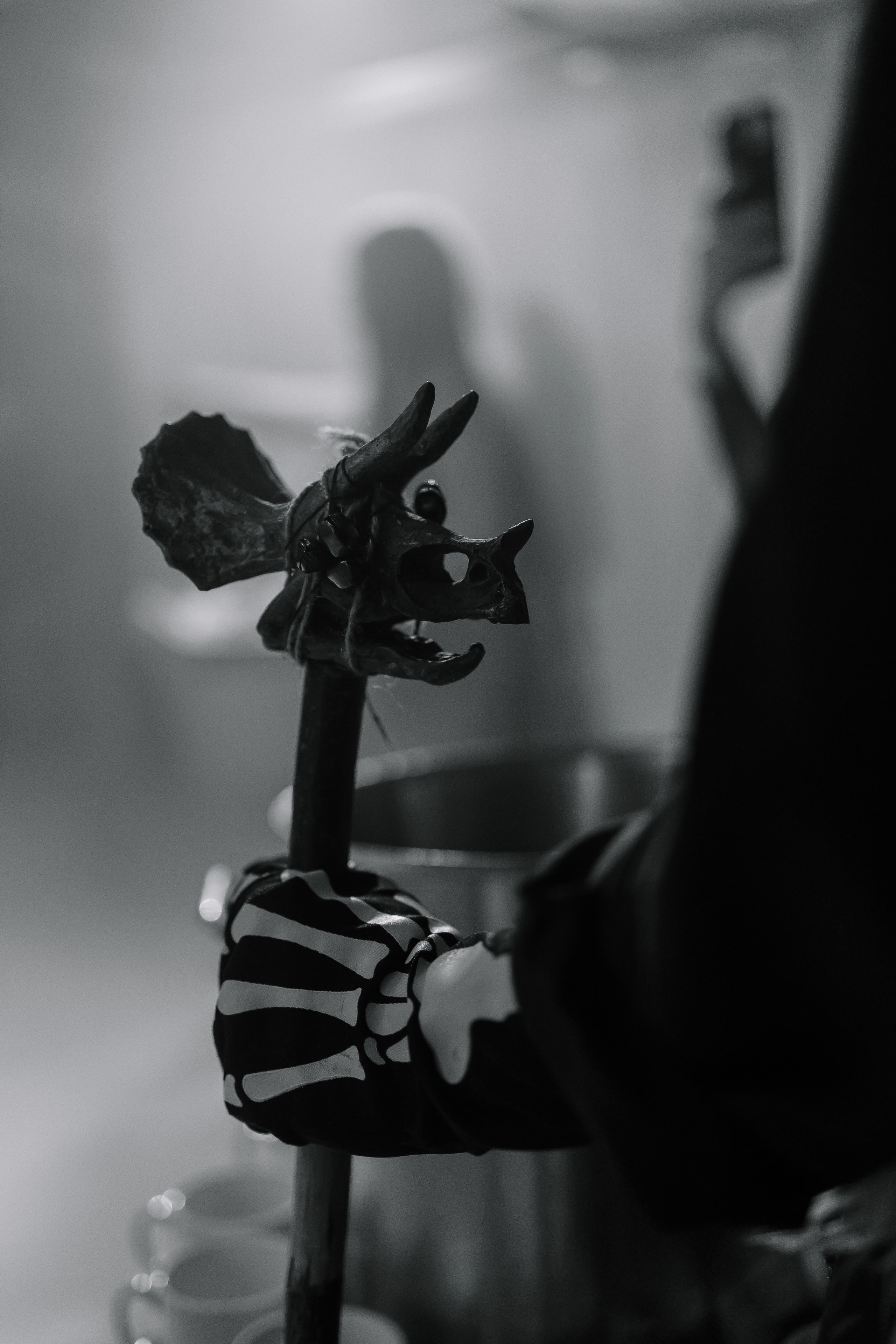 Шоу тортов 2. Свадебный фотограф