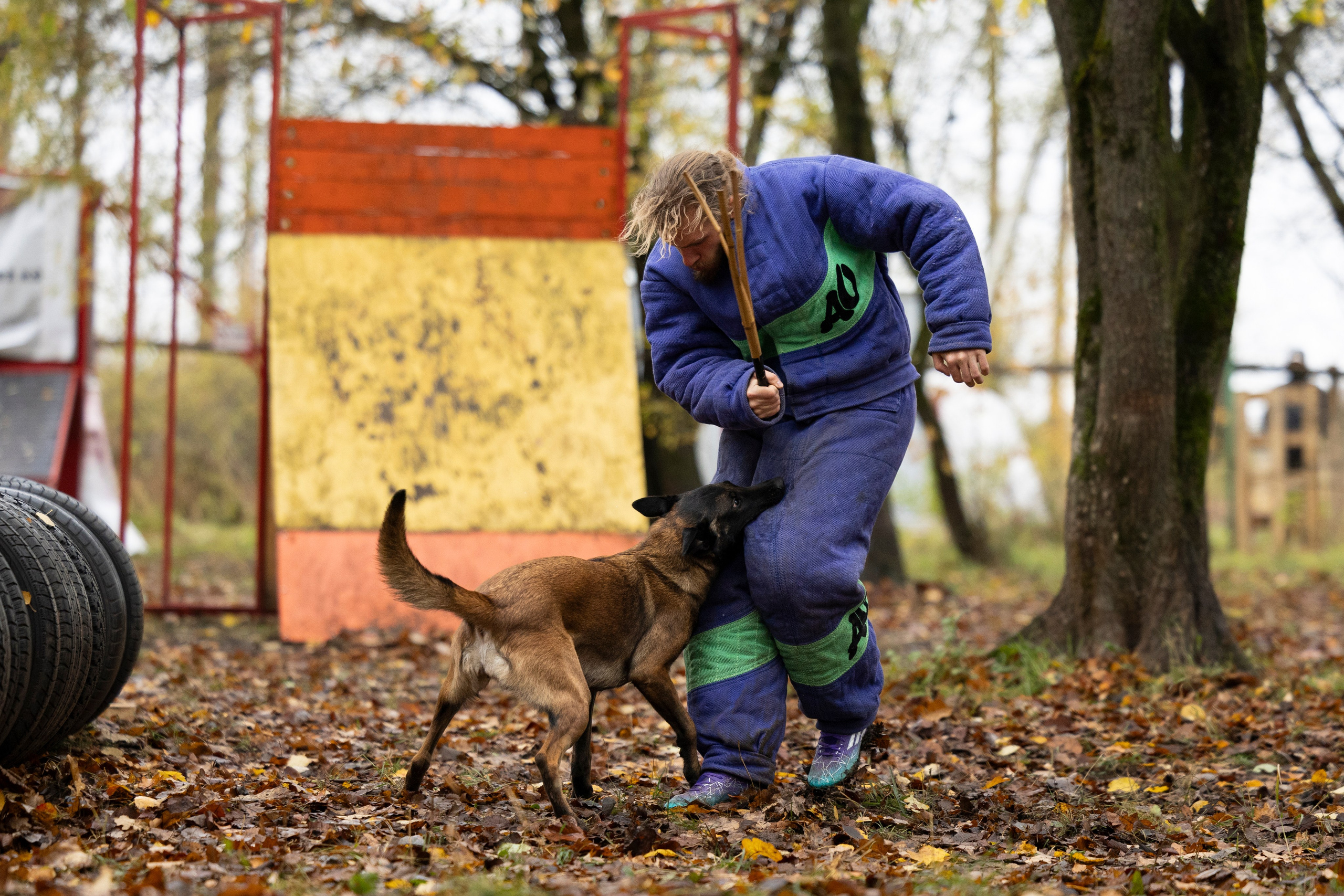 Соревнования по Мондьорингу г. Вологда. Фотограф-анималист Анна Маринич