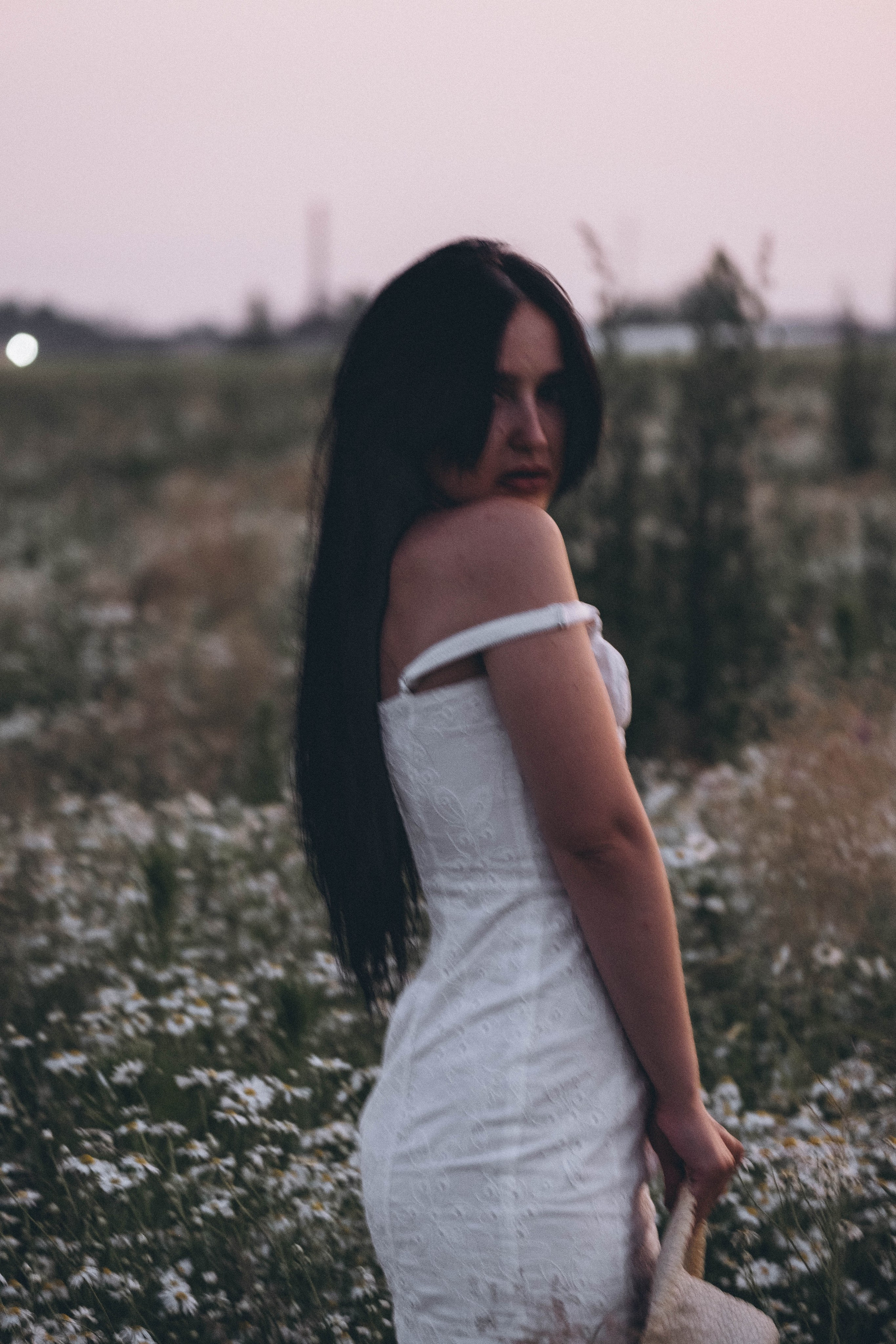 Ромашковое поле. Профессиональный фотограф, Санкт-Петербург — Виктория Богомолова