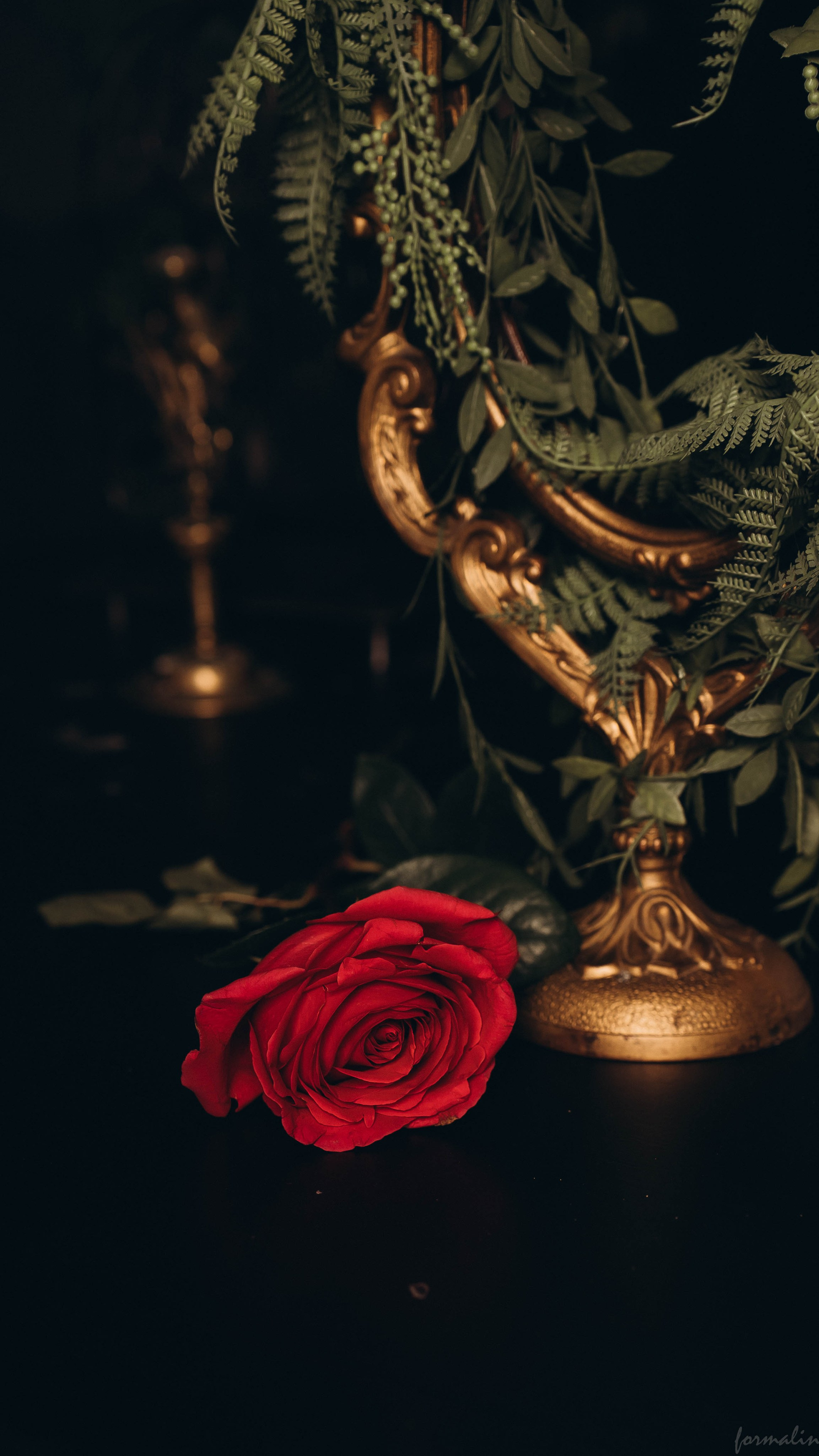 Дориан Грей. Алиса Никитцова | Фотограф в Казани