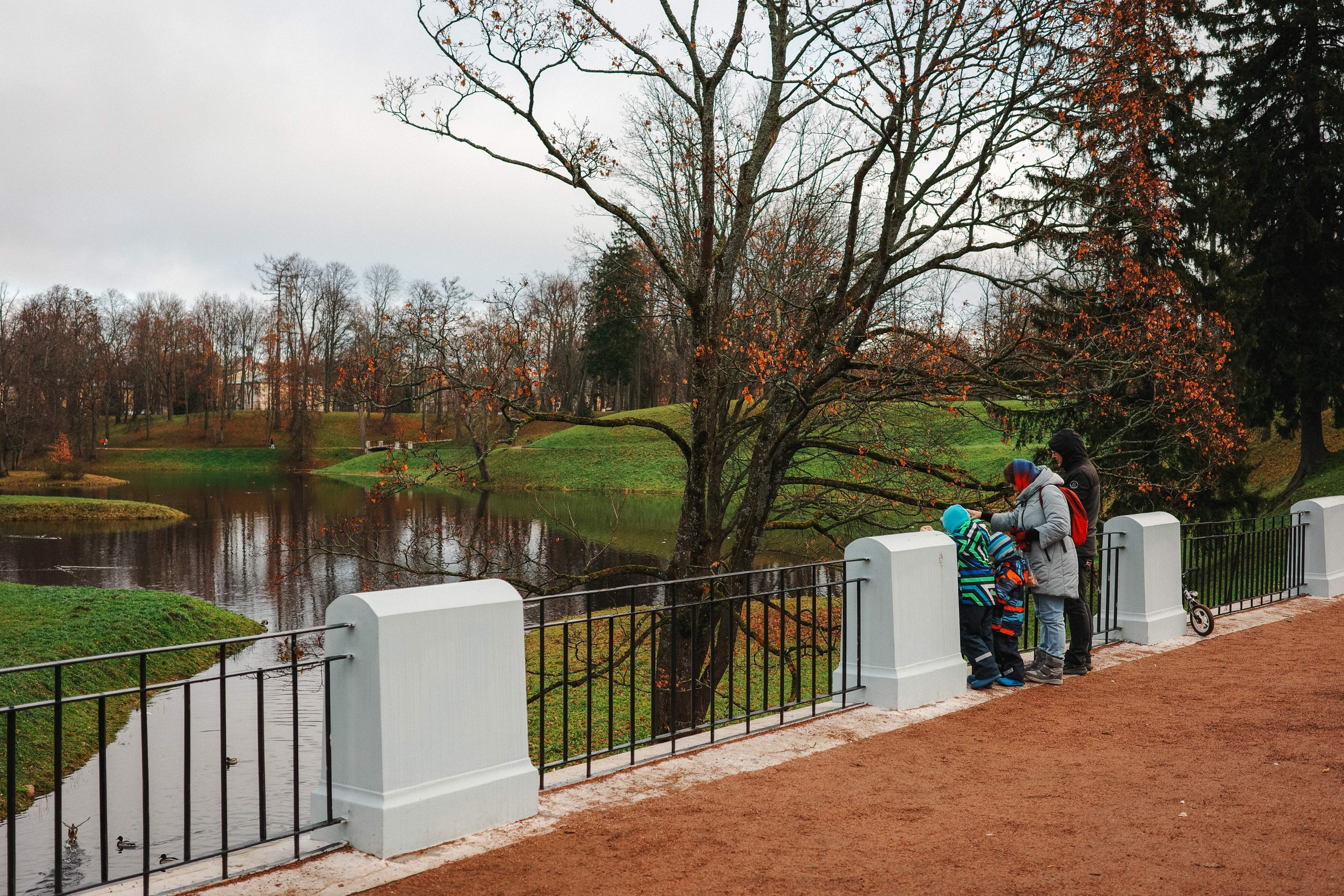 2024.11. Фотограф Алексей Алексеев