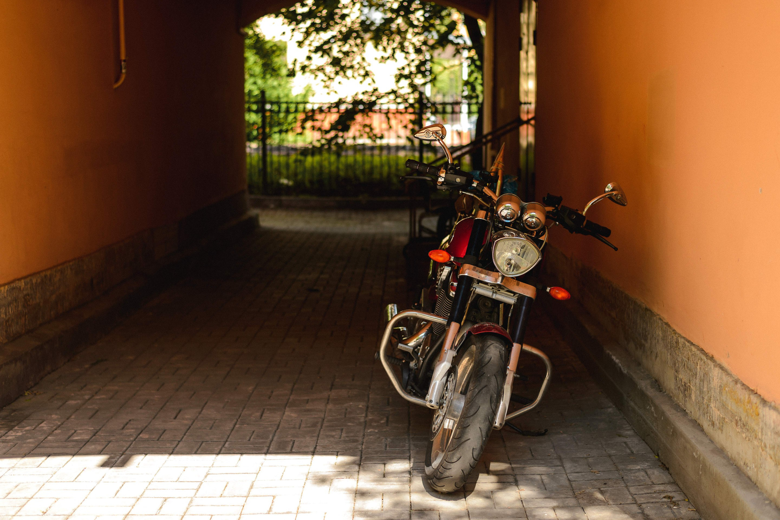 2025.06. Фотограф Алексей Алексеев