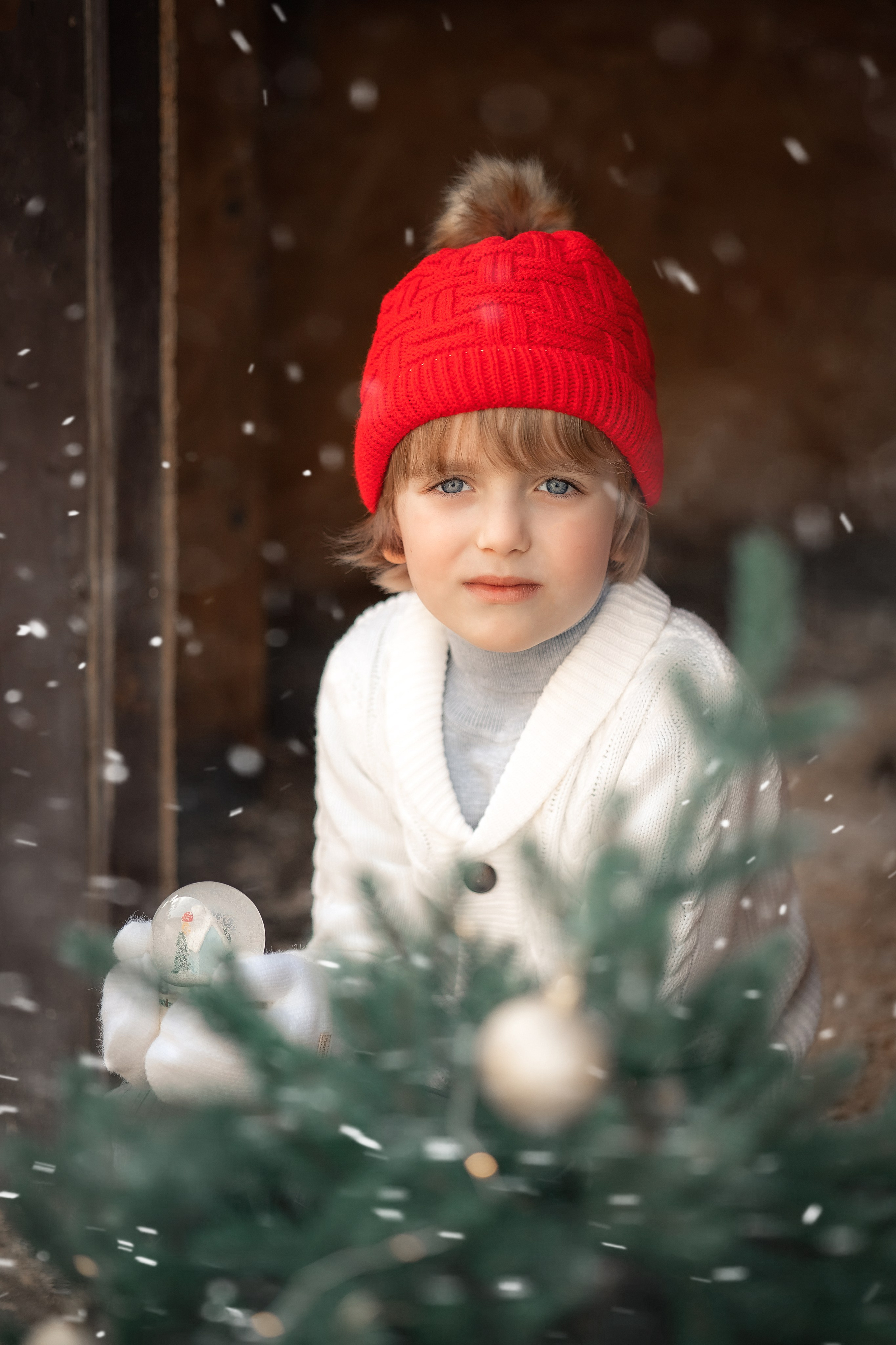 Новогодняя сказка. Художественный фотограф Анапа Александра Долбикова