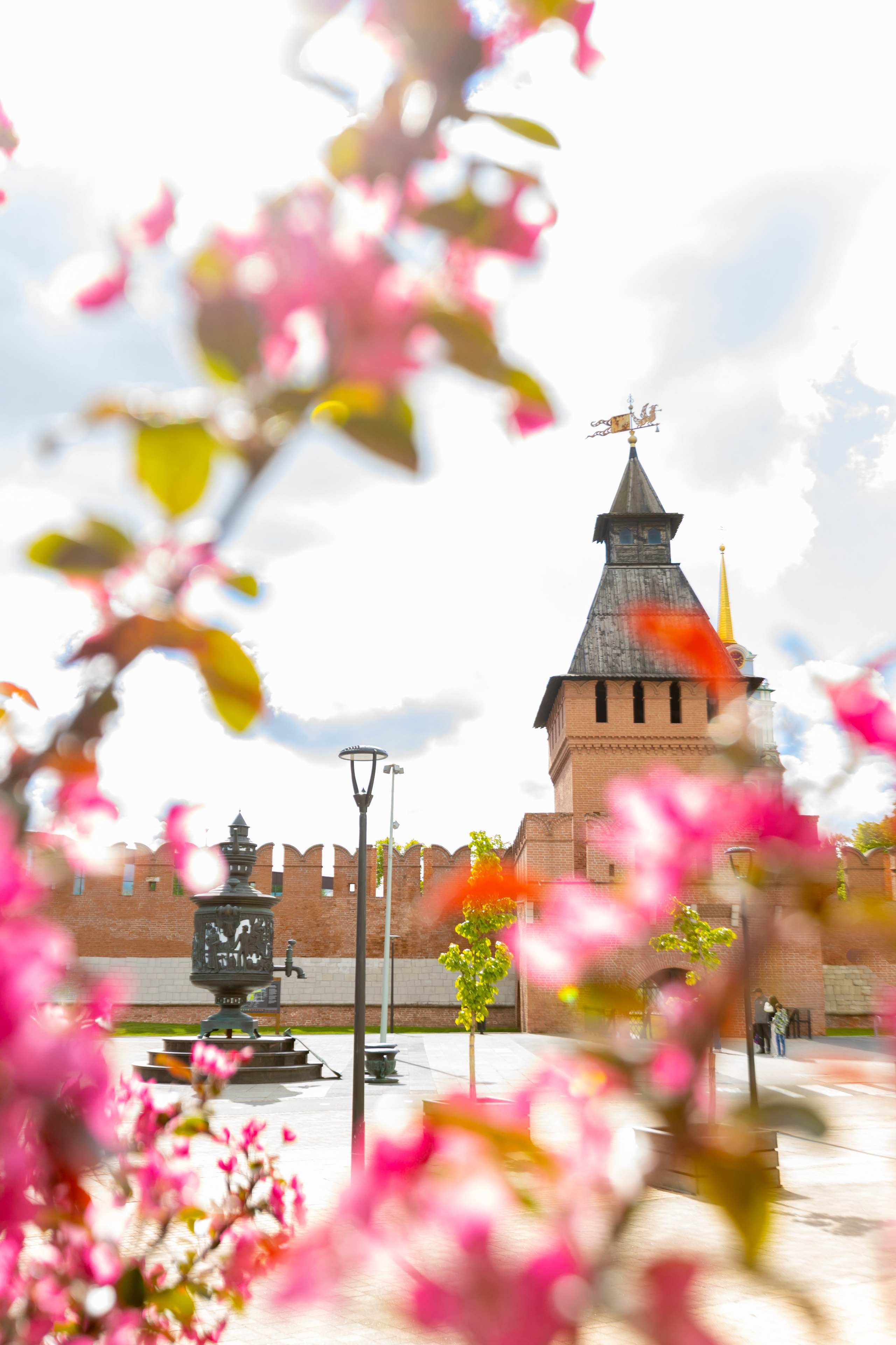 Весеннее цветение в Туле. Фотограф в Туле Крупский АнДРей. Фотостудия «КАДР71» в Туле
