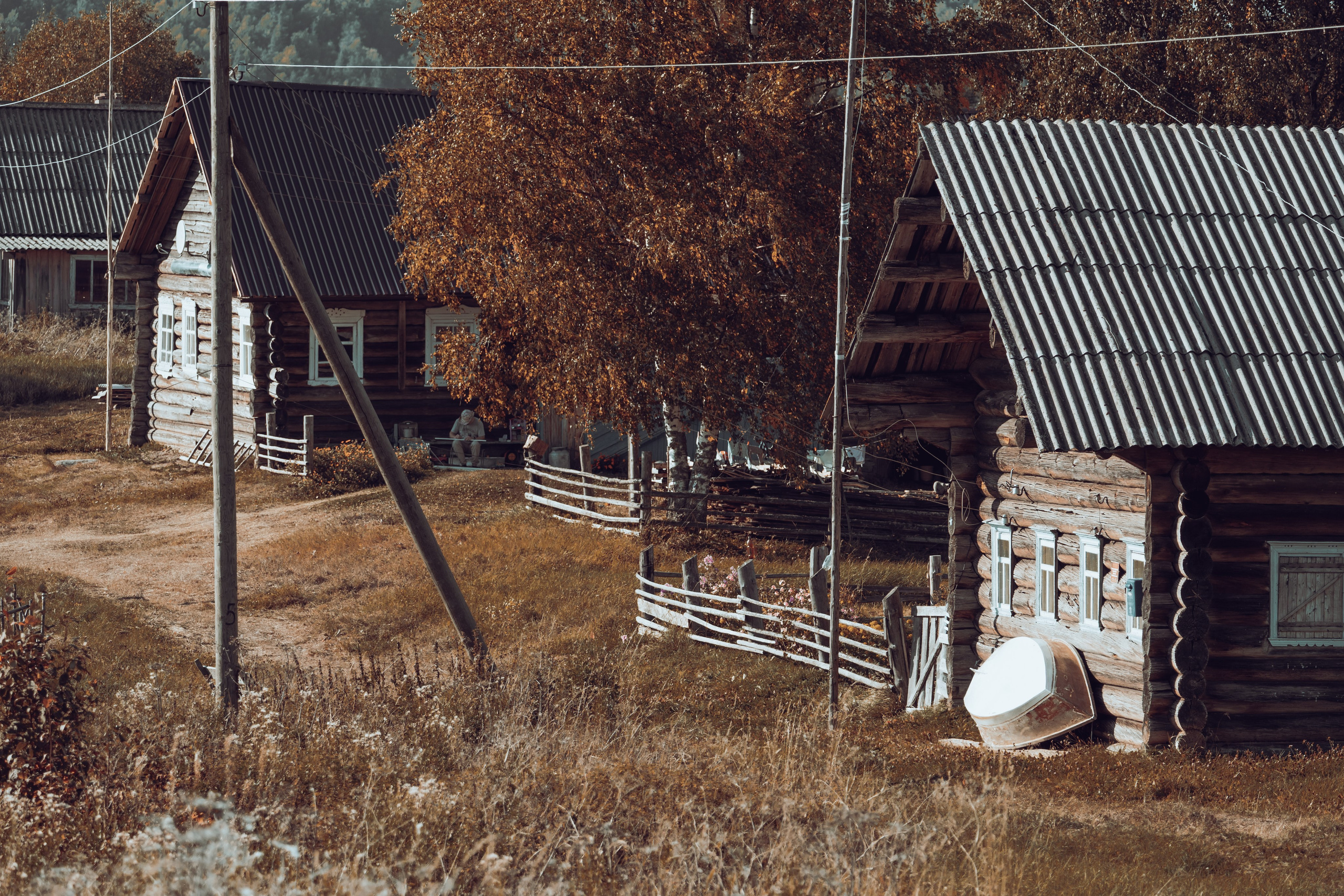 Кенозерье. Фотограф Александр Решня