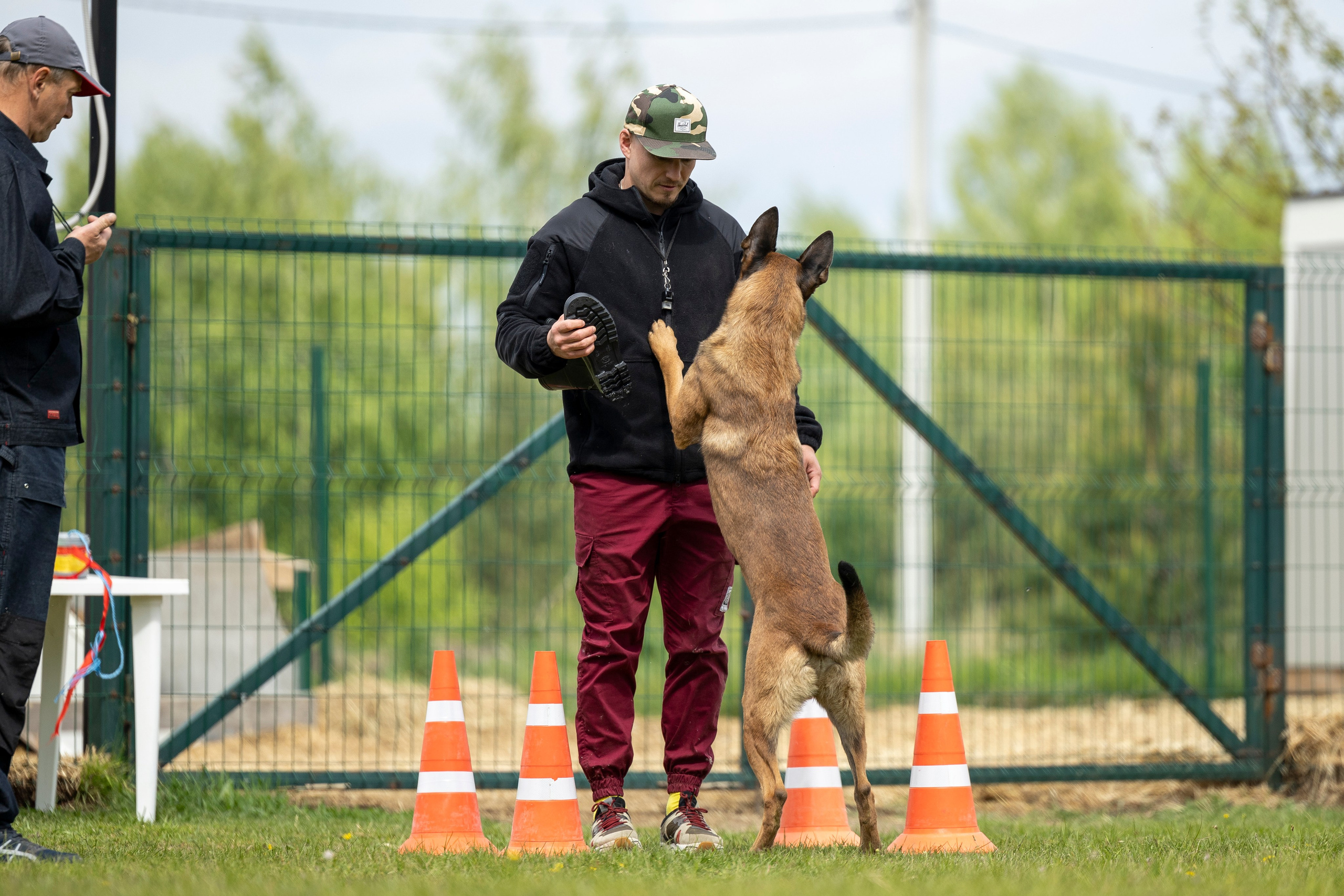 Испытания по мондьорингу в Нижнем Новгороде. Фотограф-анималист Анна Маринич