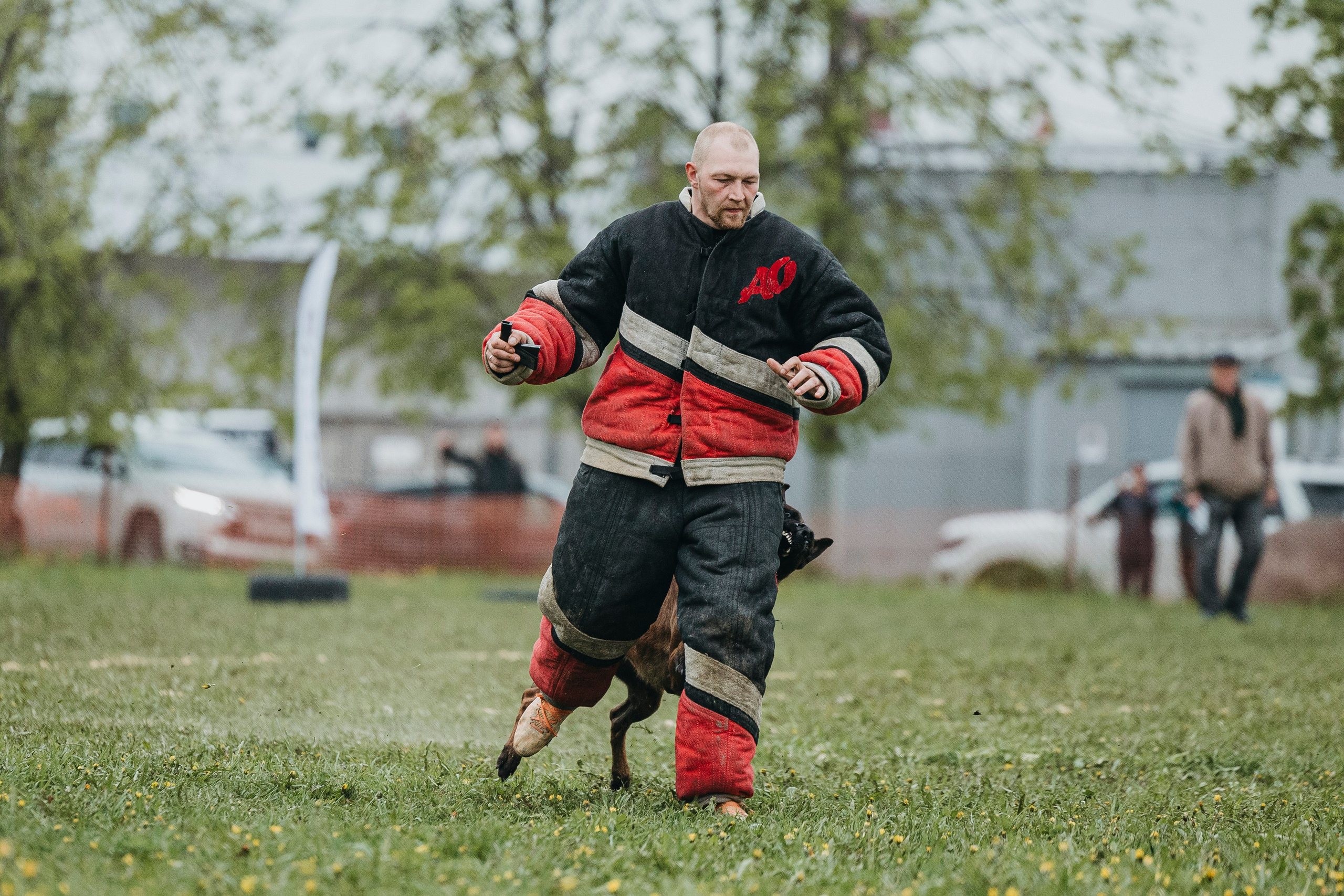 26.05.25 г. Пушкин квалификационные соревнования. Фотограф-анималист Анна Маринич