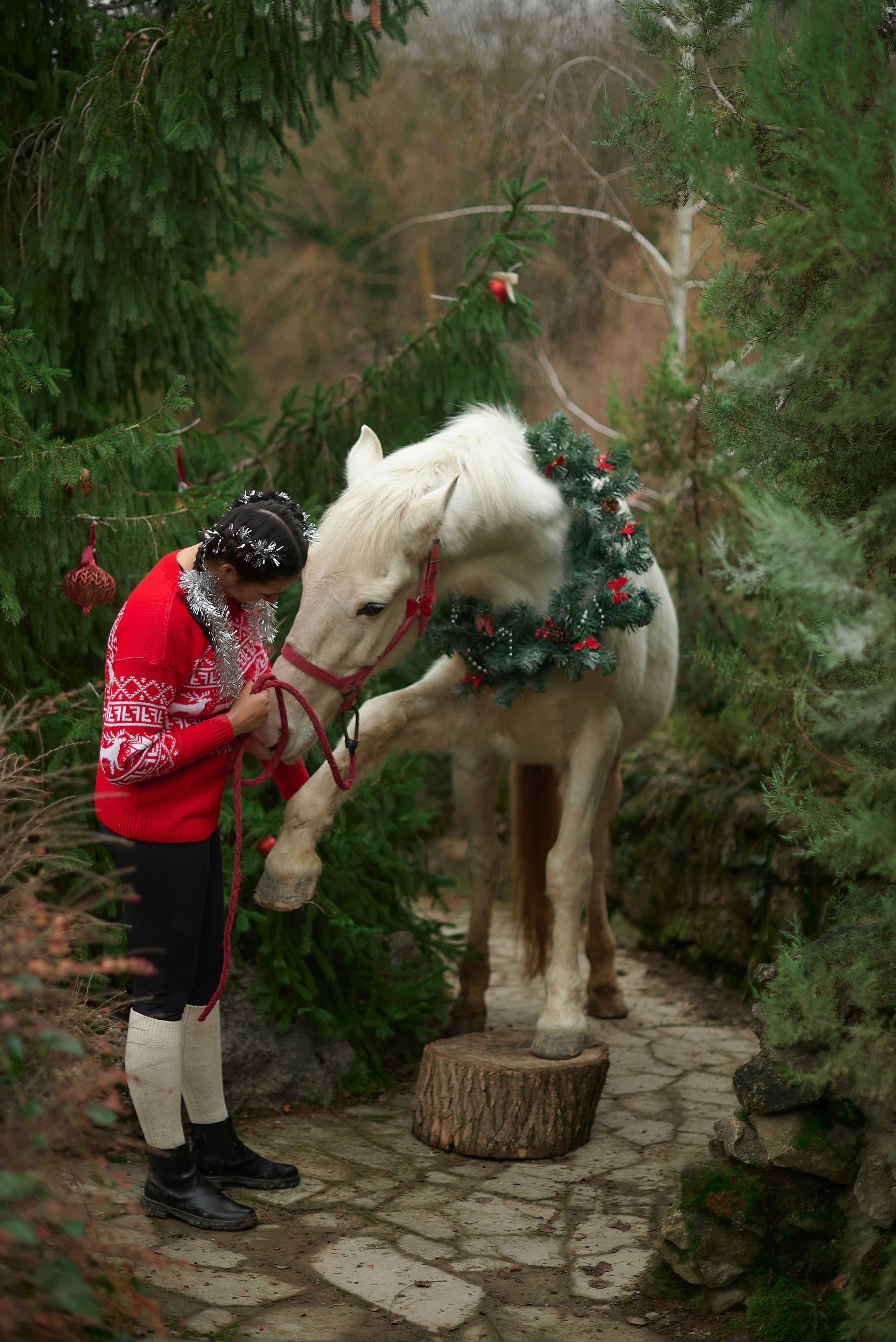 Диана, Гром и Мандаринка. Фотограф в Севастополе