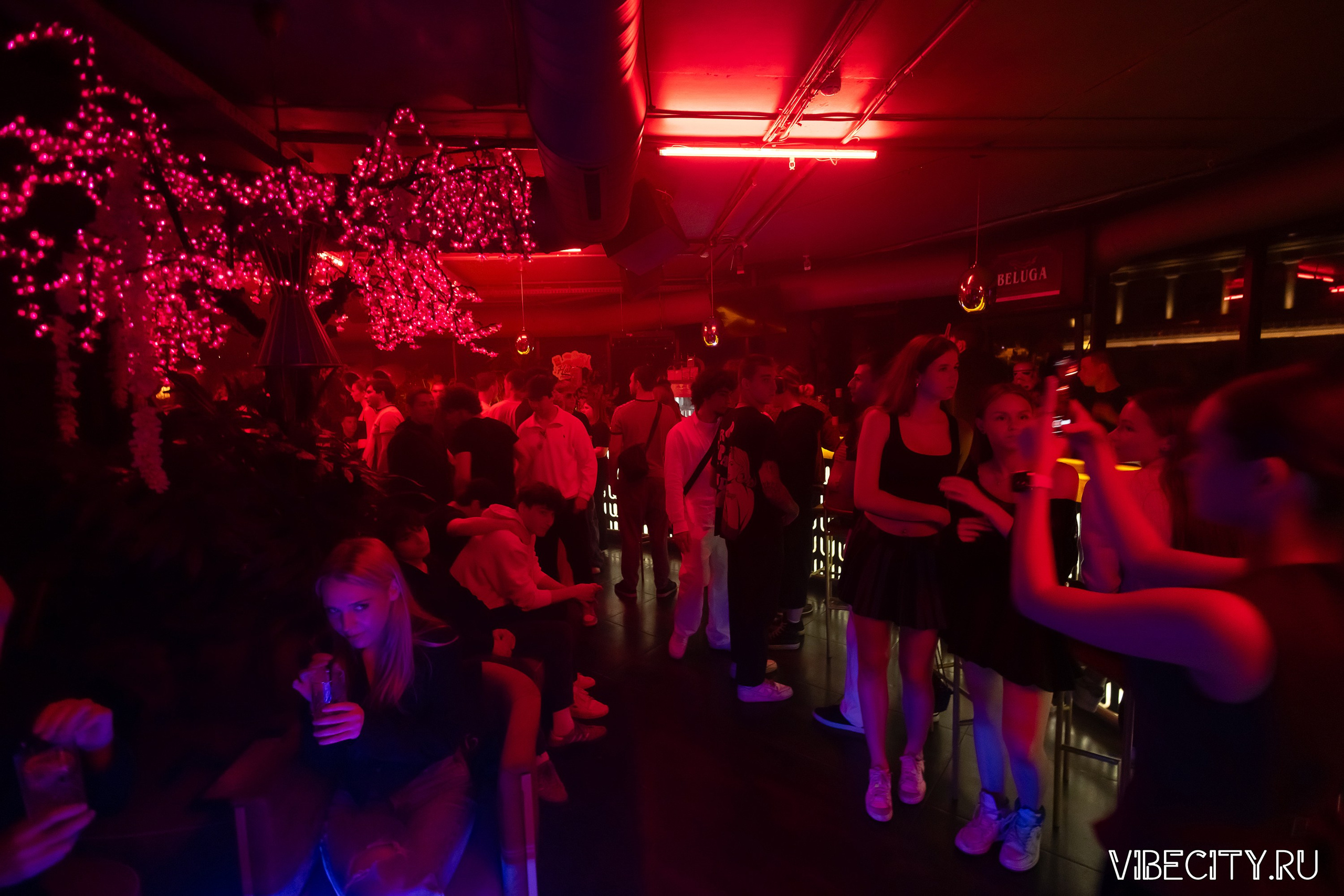 DOUBLE U. VIBECITY.RU Вайб Сити Ру Фоторепортажи Фотоотчеты Калининград