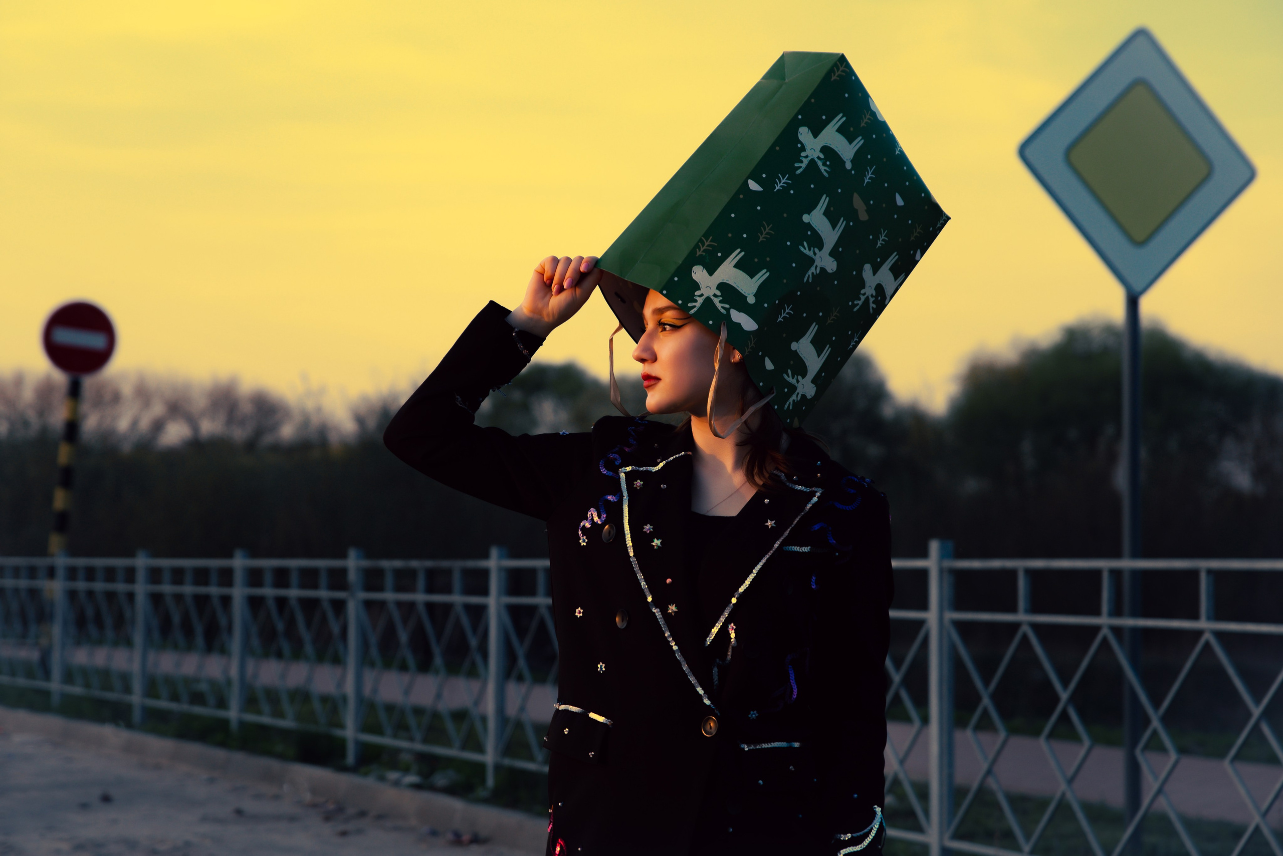 Реминисценция Нового года. Женский фотограф Крещение Венчание Москва Брянск