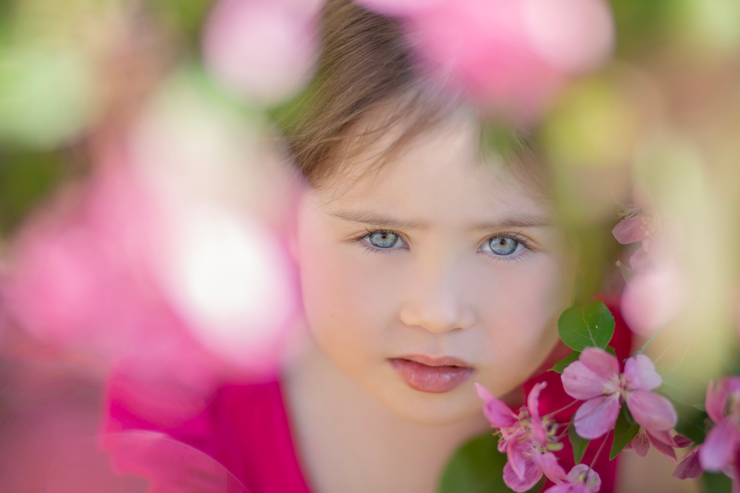 Фотопрогулка-яблони розовые. Семейный и детский фотограф в Москве и МО — Александра