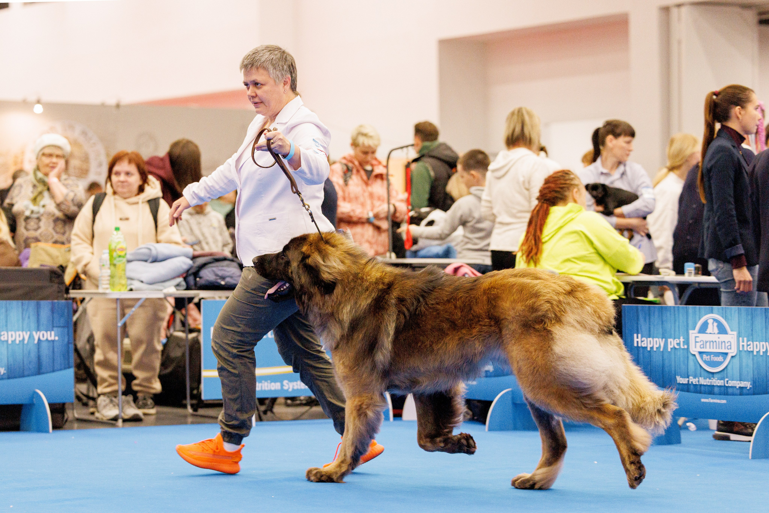 Нижний Новгород 21-22.10.2023. Фотограф-анималист Юлия Германика