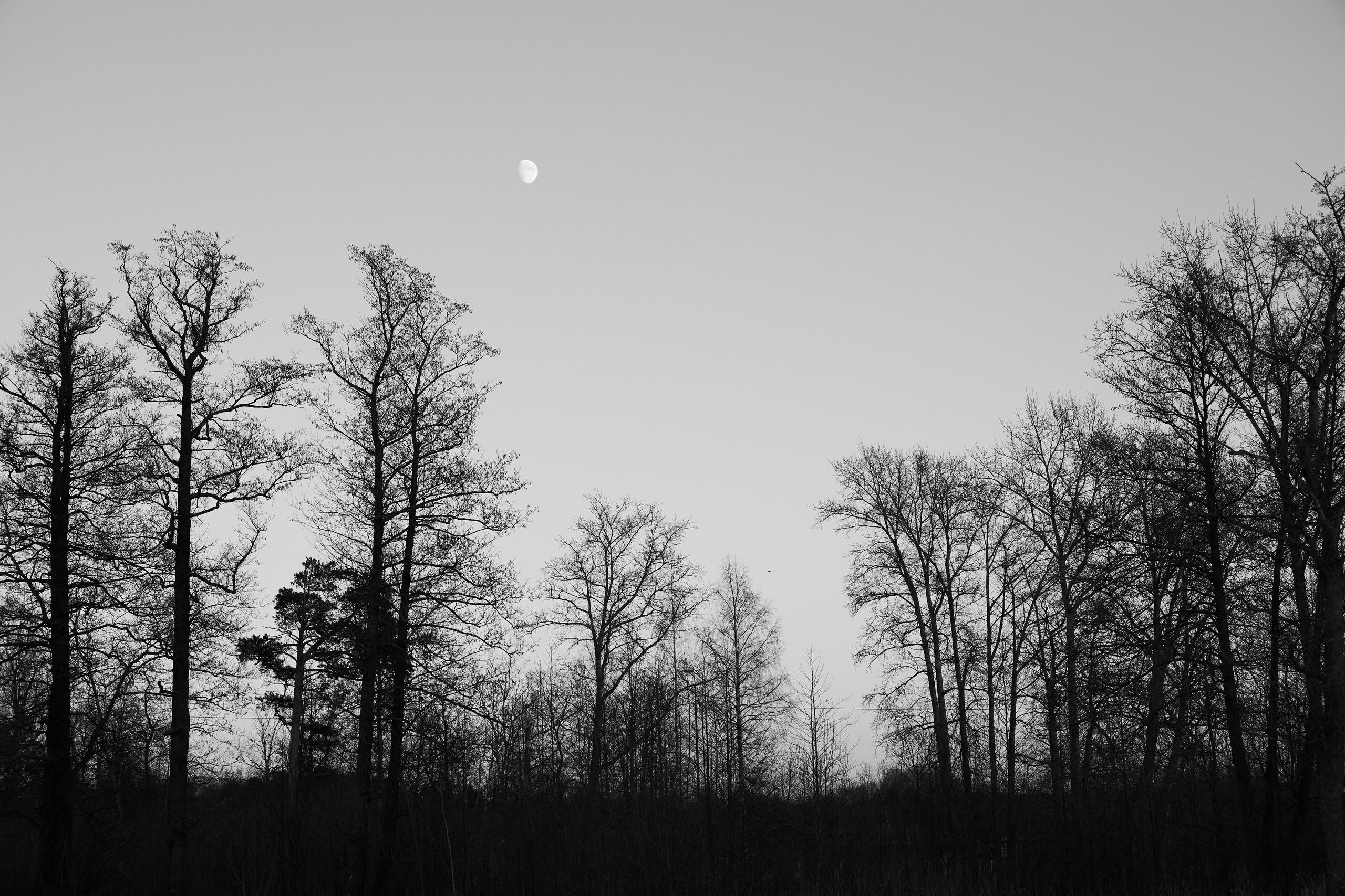 Путешествие в Карелию. Анна Потявина. Фотограф Москва