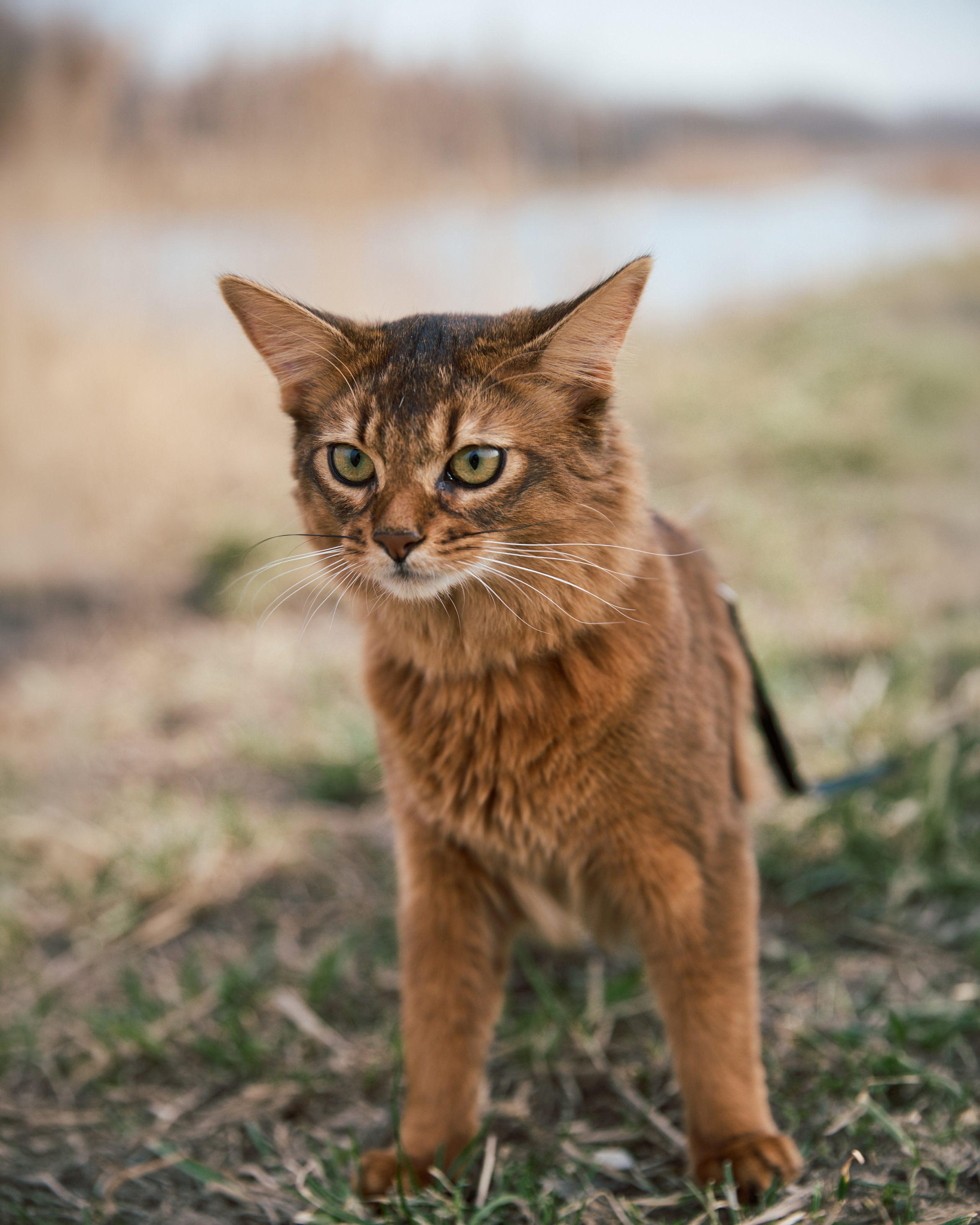 Rufus. Творческий фотограф в Санкт-Петербурге — Никита Шохенмайер