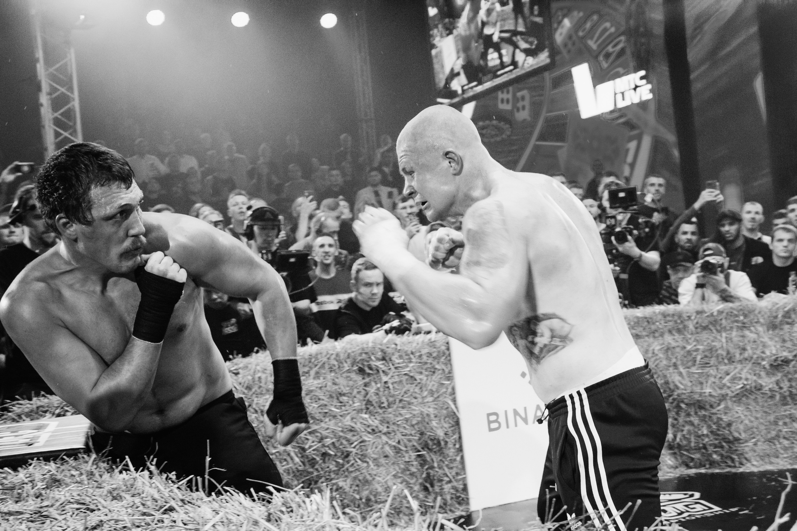 Кулачные бои TopDog. Анастасия Тен