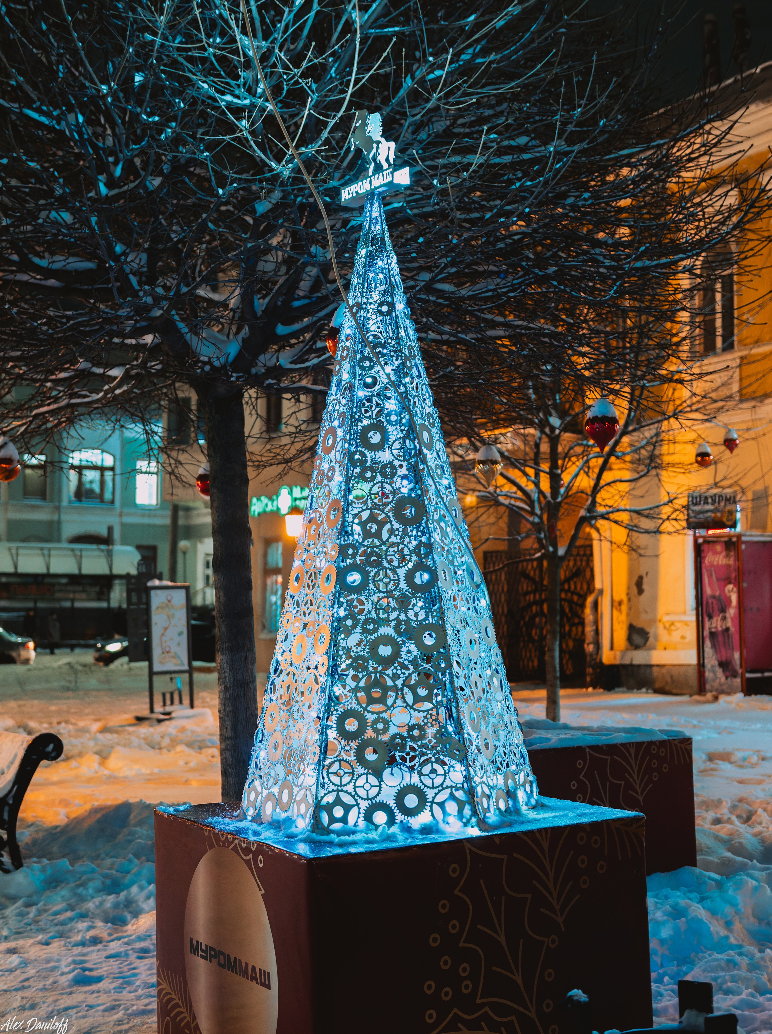 Елки 2025. Муром-Инфо. Новости культуры, образования, спорта в городе Муром