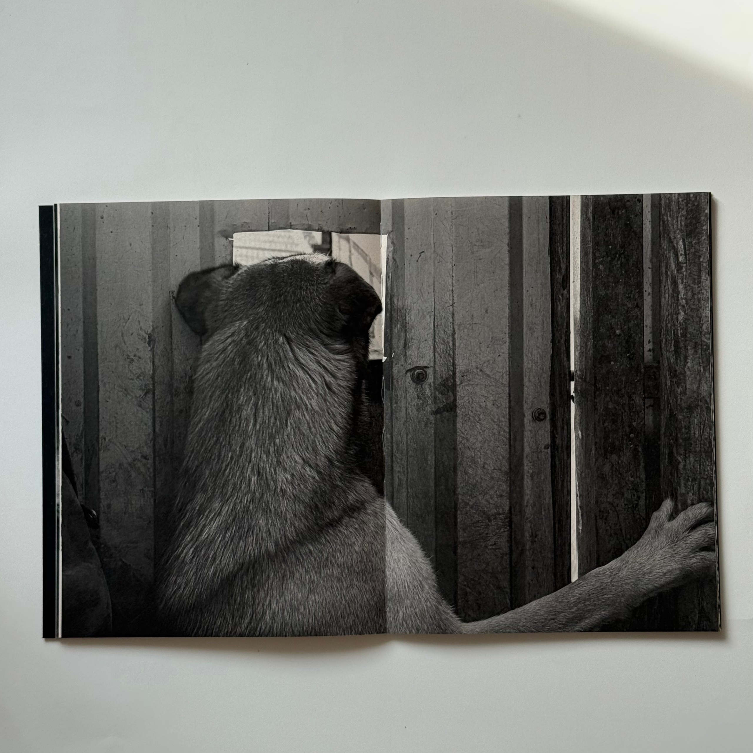 Фотокнижная библиотека Инны Шиловской. Фотограф и исследователь фотографии из Санкт-Петербурга Елизавета Веприцкая