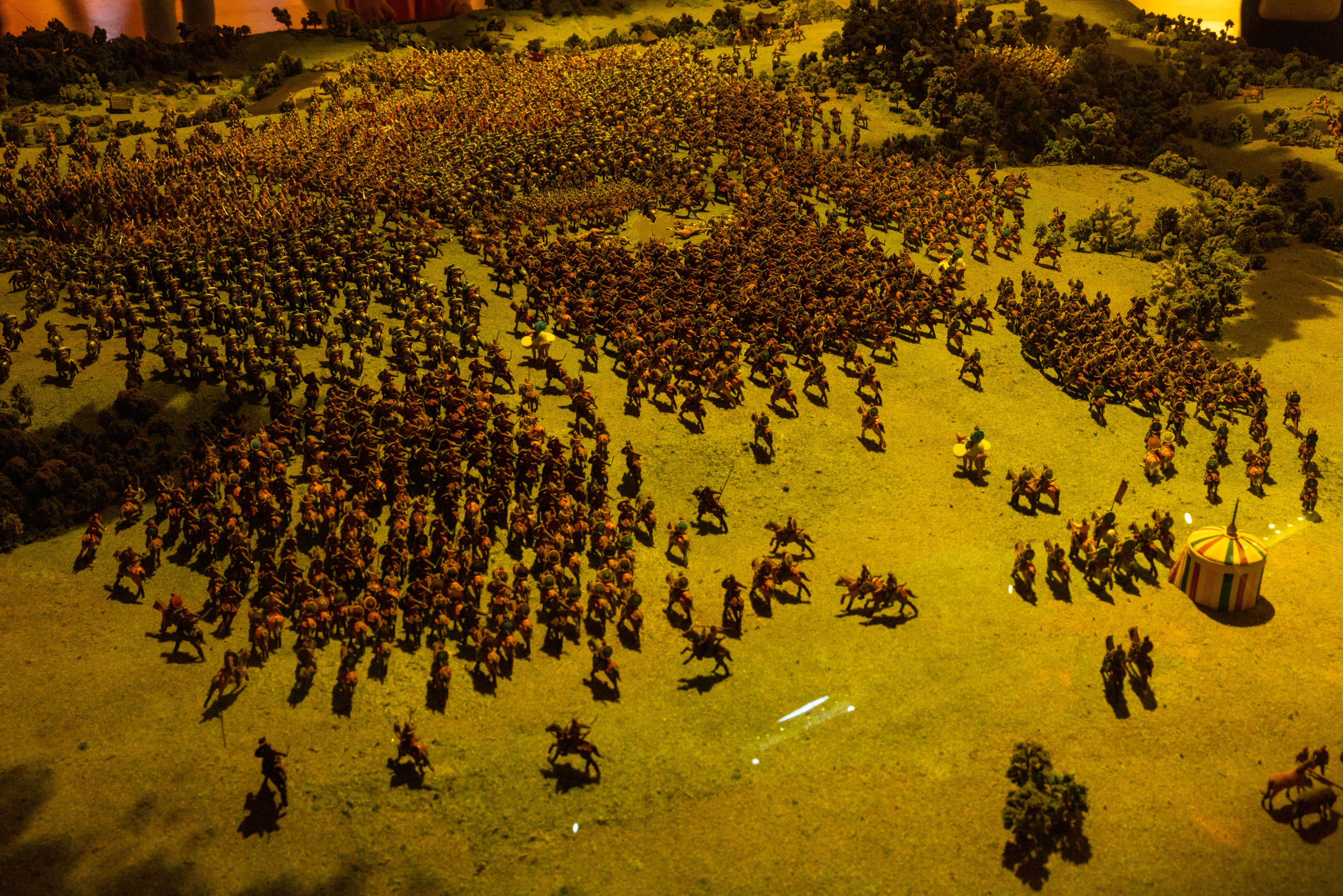 Поездка на поле Кулеково. Фотограф в Туле Крупский АнДРей. Фотостудия «КАДР71» в Туле