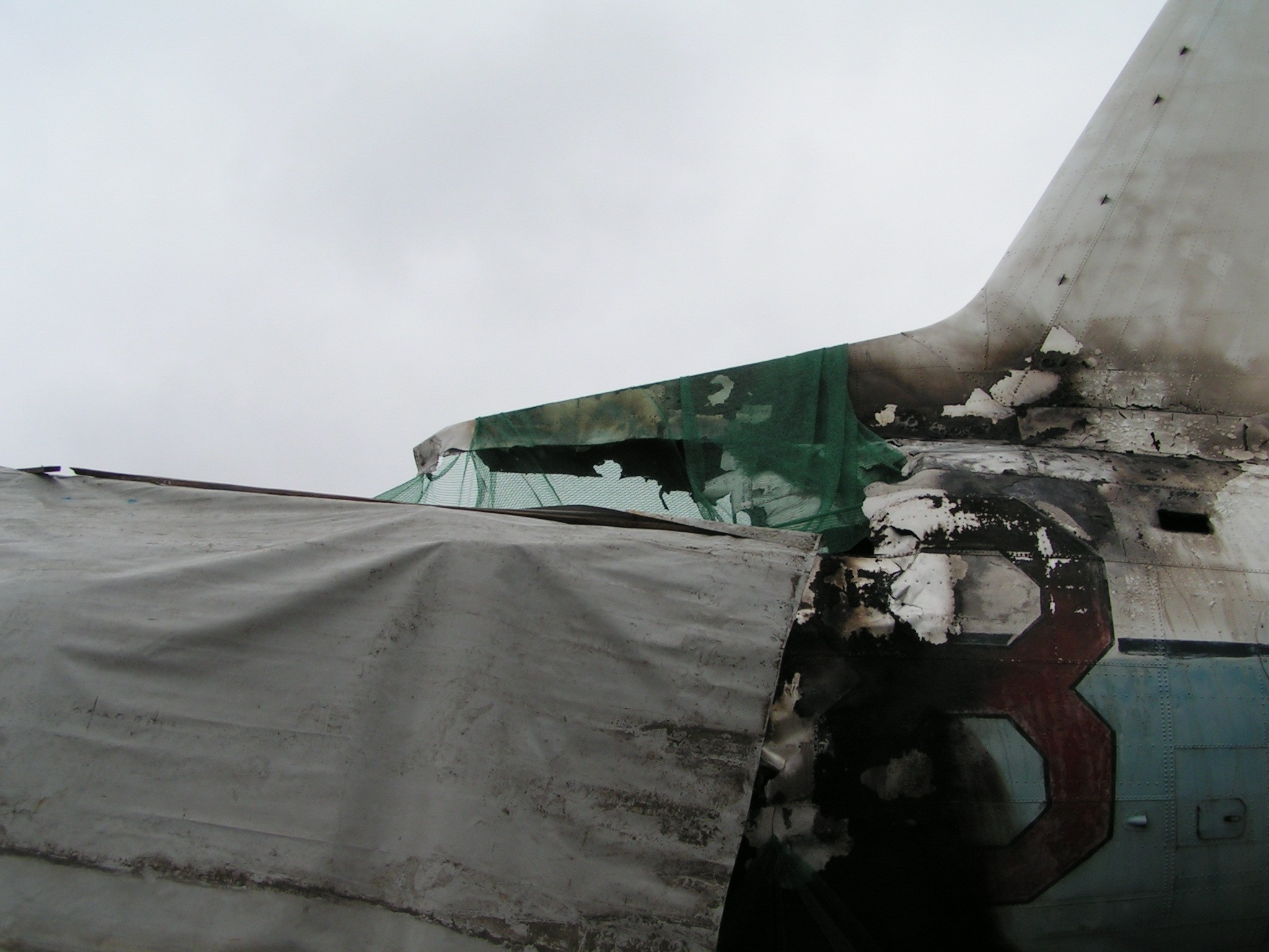 Ил-14 (Ходынка) — уничтожен. Фотоальбом показывающий увлекательный мир авиации и мир медведей Андрея Иванова