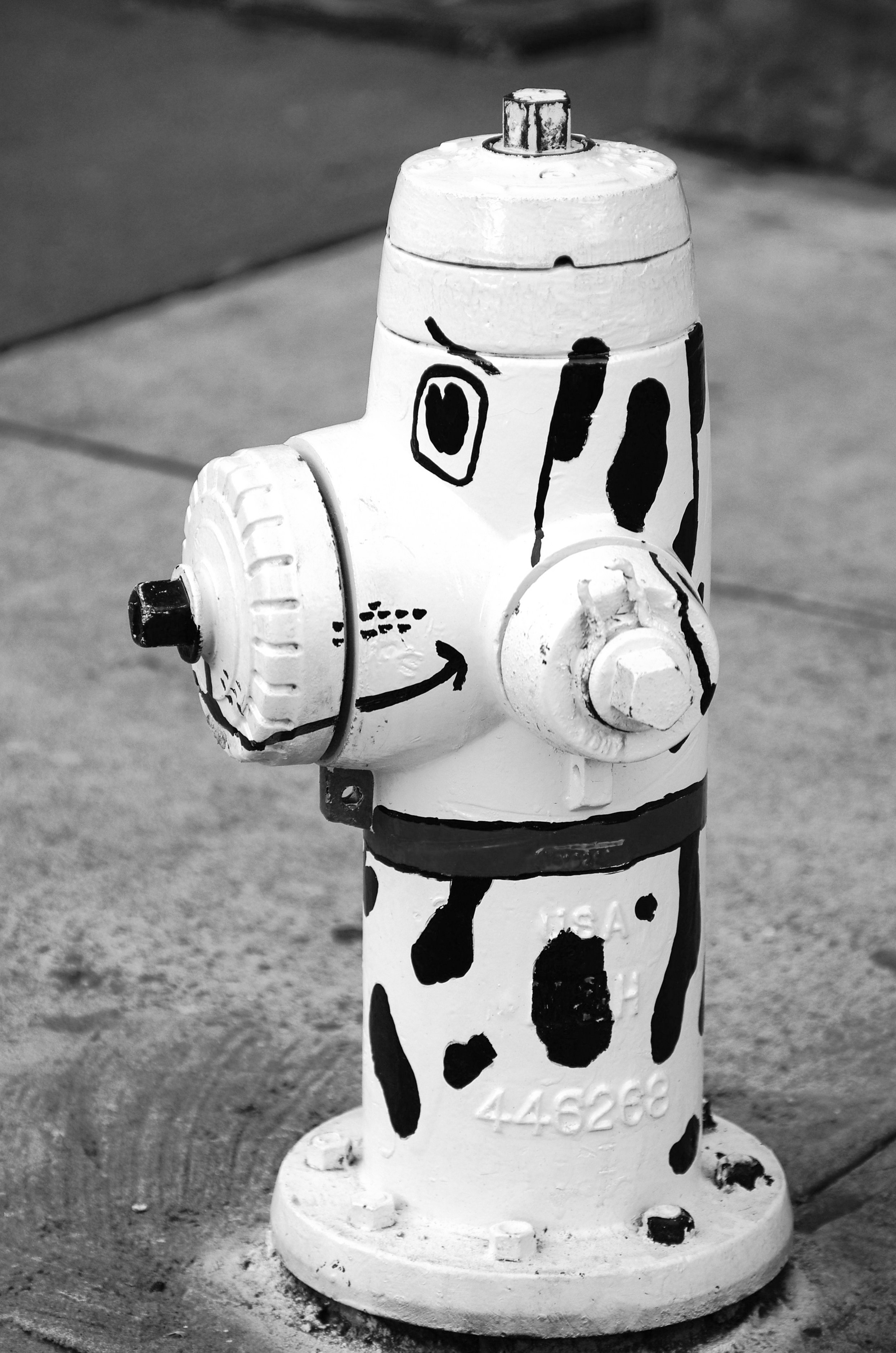 Однажды в Америке. Фотограф Дмитрий Алексеев