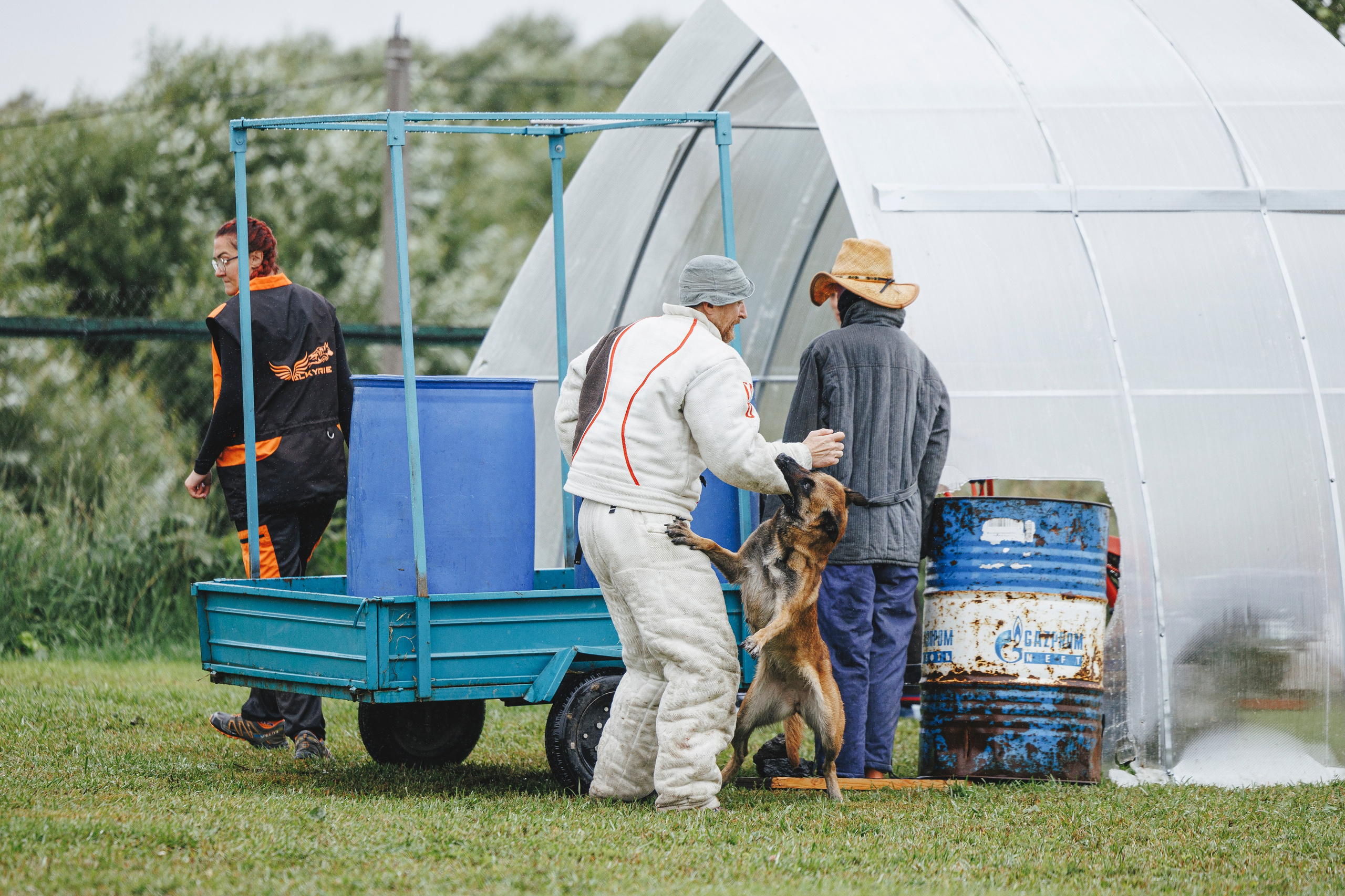 08.08.25-10.08.25 ЧР по мондьорингу г. Вологда. Фотограф-анималист Анна Маринич