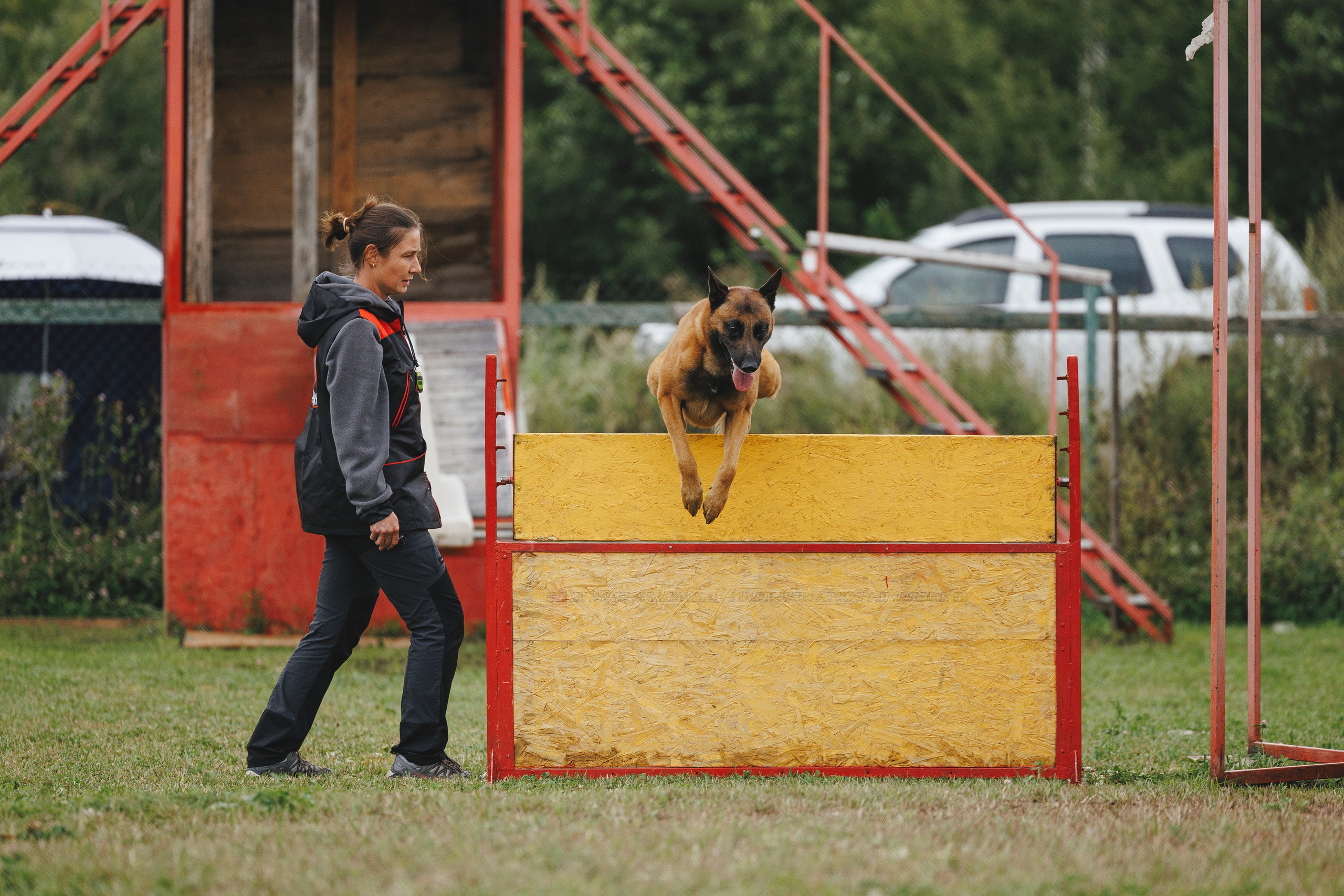 08.08.25-10.08.25 ЧР по мондьорингу г. Вологда. Фотограф-анималист Анна Маринич