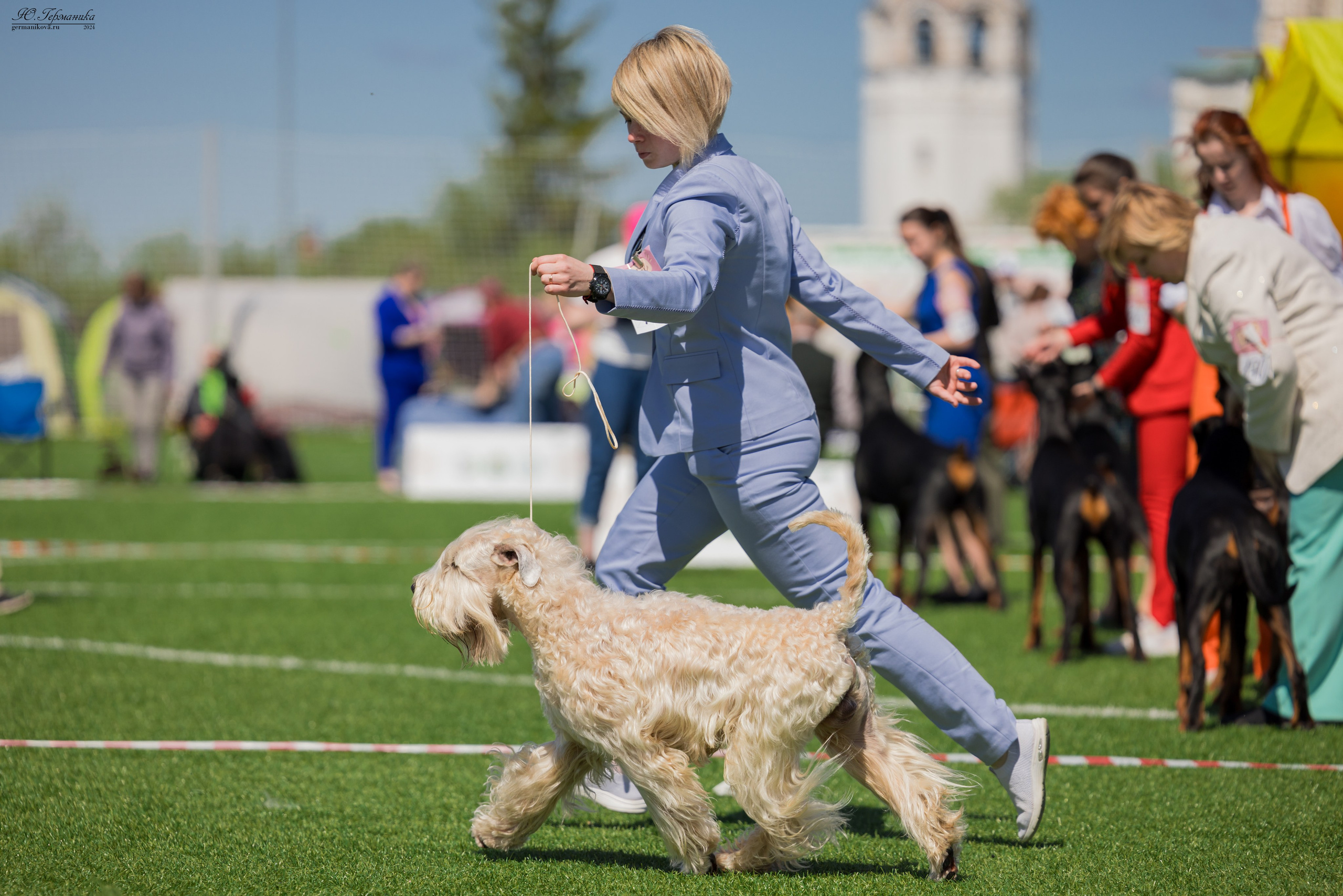 Суздаль 18-19.05.2024. Фотограф-анималист Юлия Германика