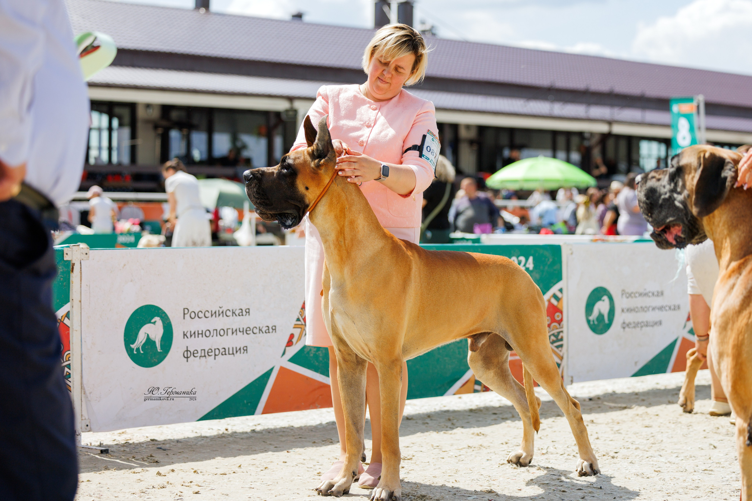 РОССИЯ 8-9.06.2024. Фотограф-анималист Юлия Германика