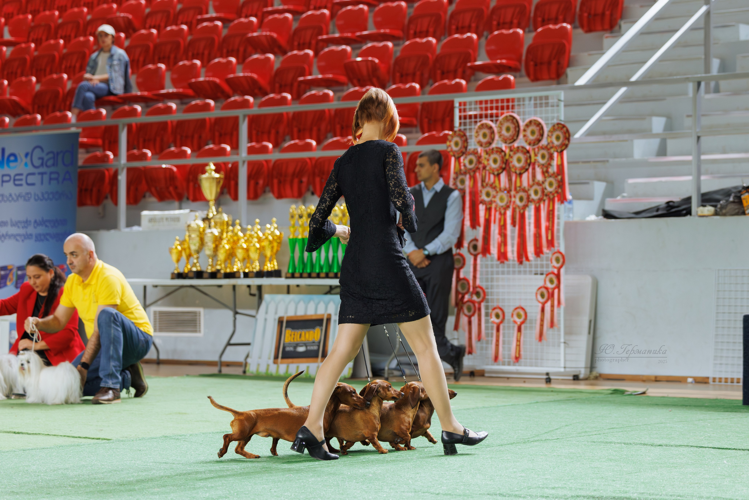 Телави 11-12.10.2025. Фотограф-анималист Юлия Германика