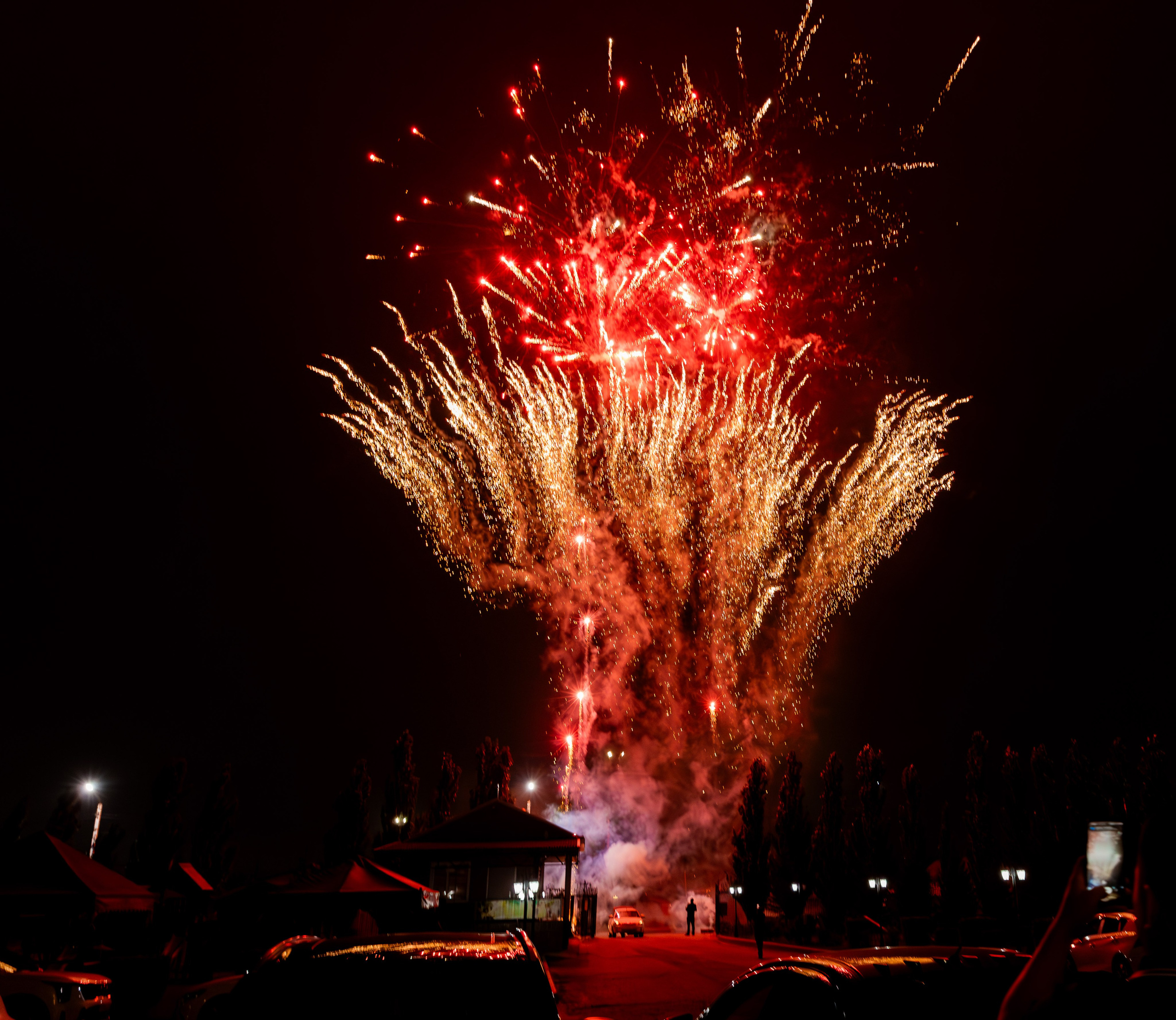 Темирлан и Дарья