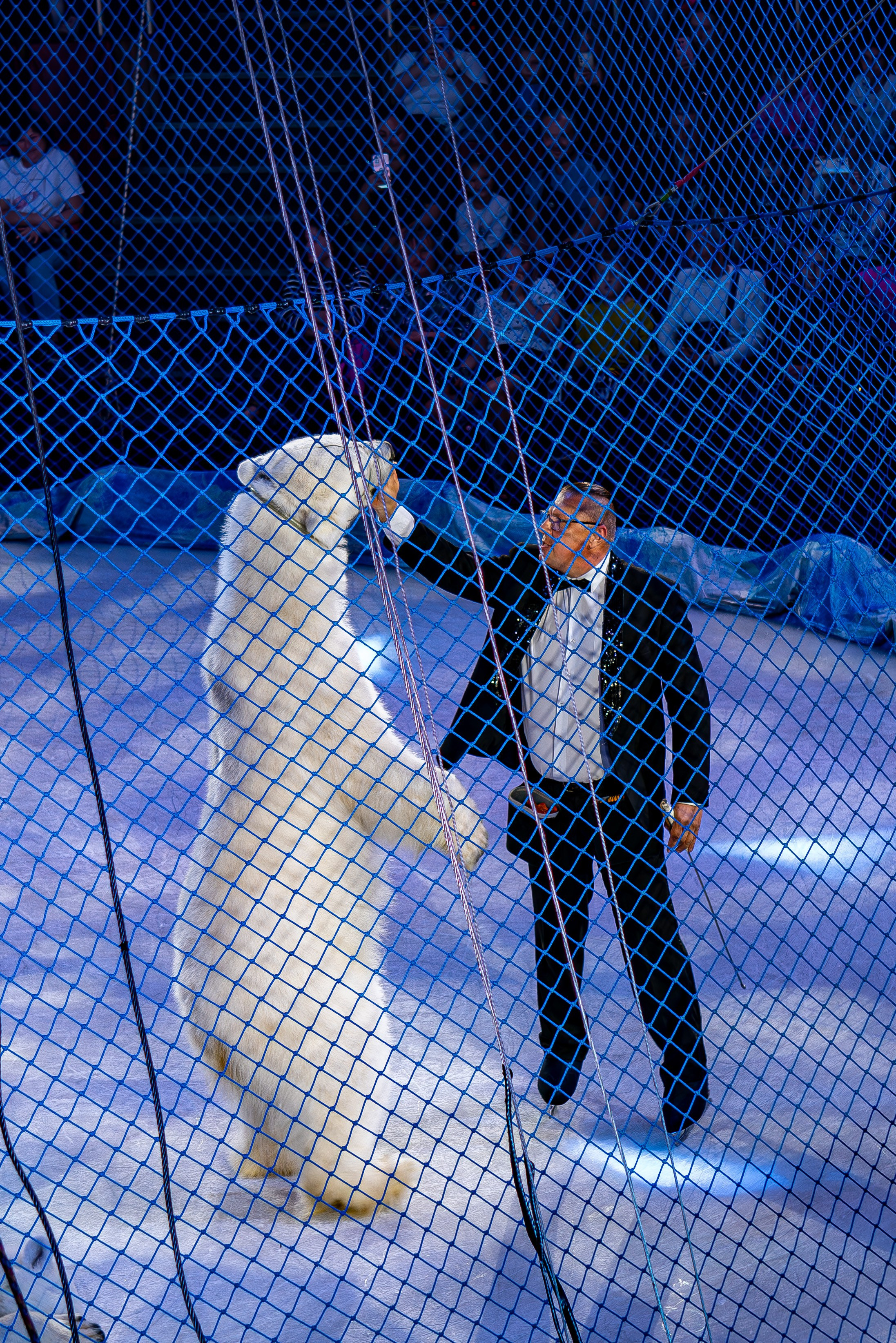 Цирк на льду «Айсберг» в Луганске. Фотограф в РФ и ЛНР Юлия Федосеева