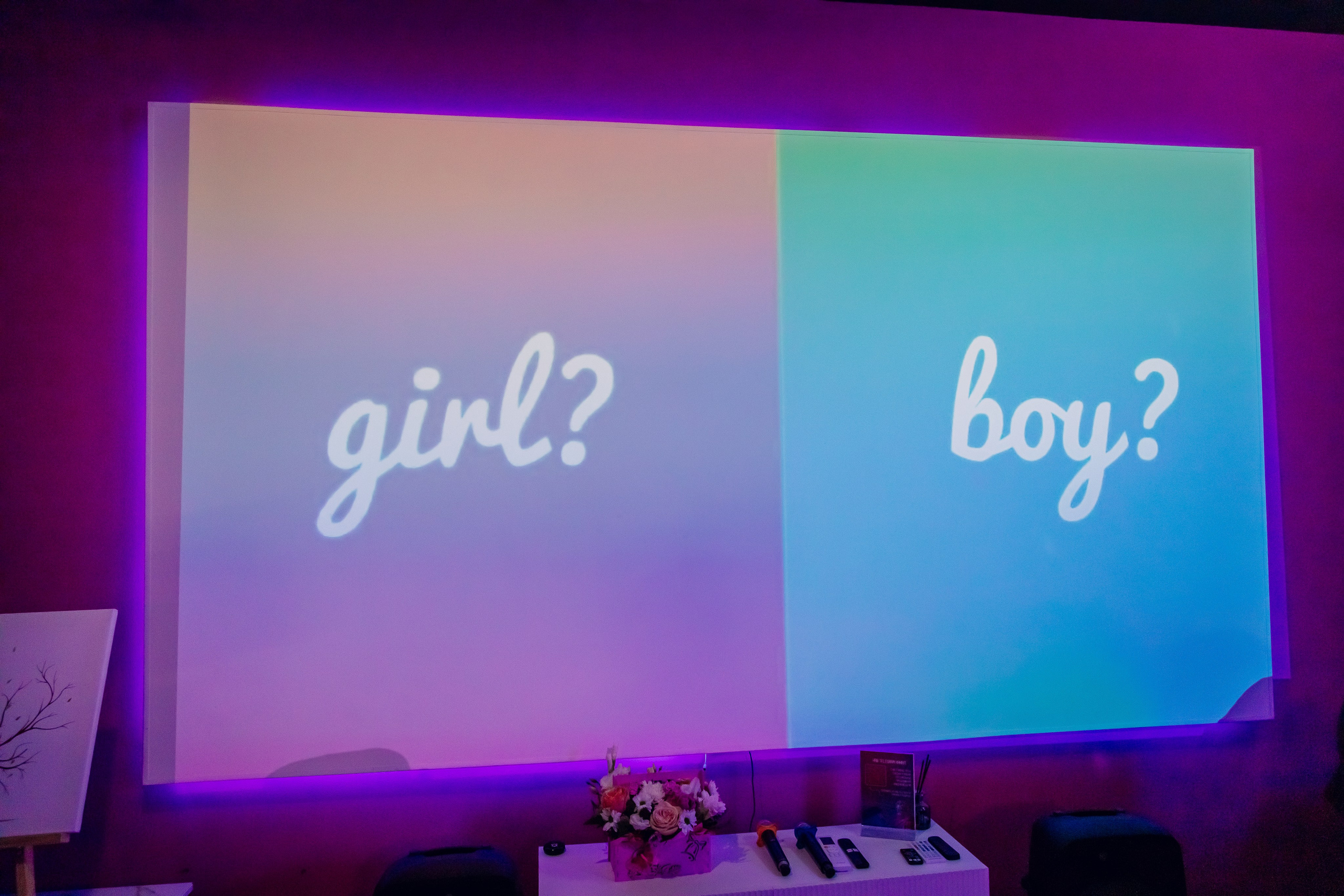 Гендер пати. Фотограф в Москве фотосессия