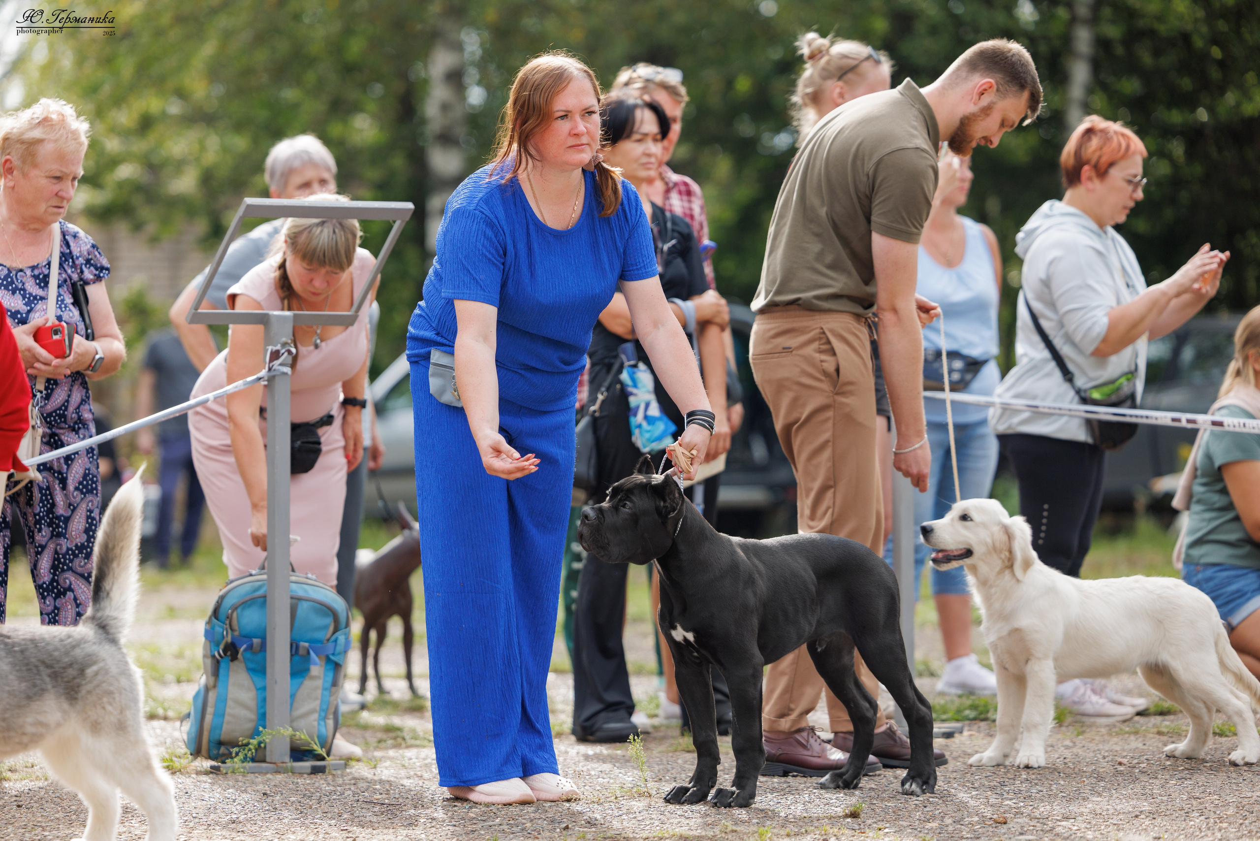 Тверь 10.08.2025. Фотограф-анималист Юлия Германика