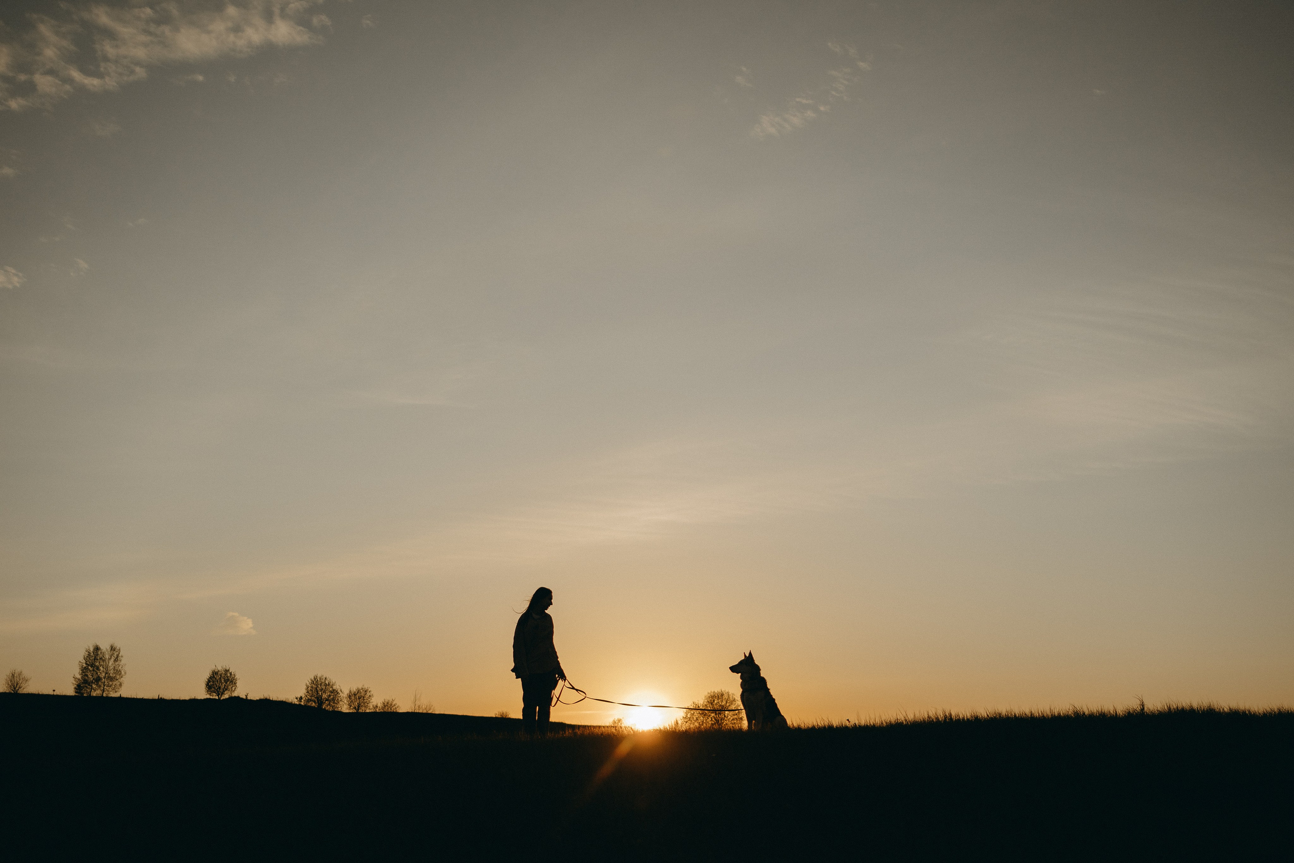 Саша и Зельда. Фотограф — Анималист | Санкт-Петербург