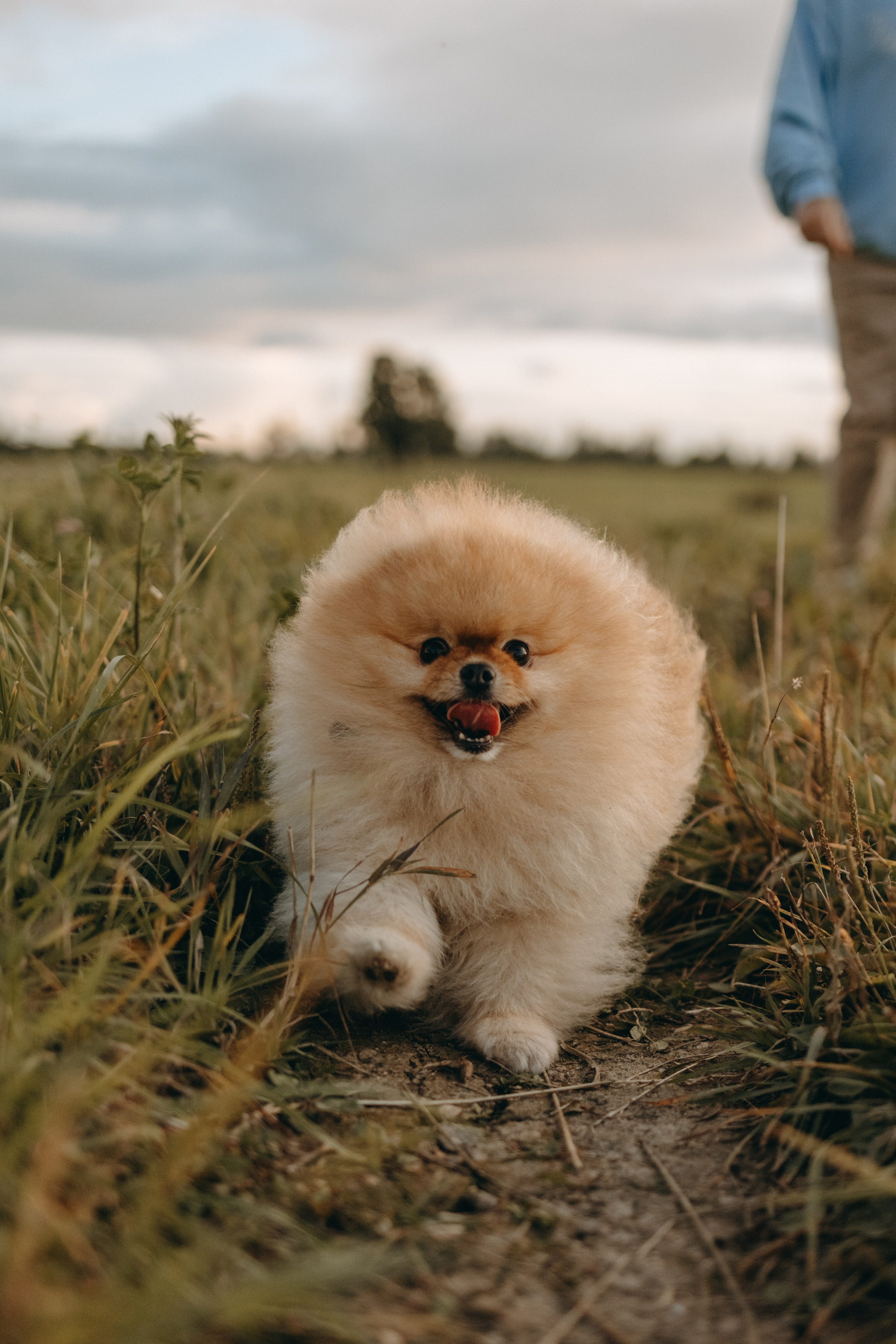 Стив и его семья. Фотограф — Анималист | Санкт-Петербург