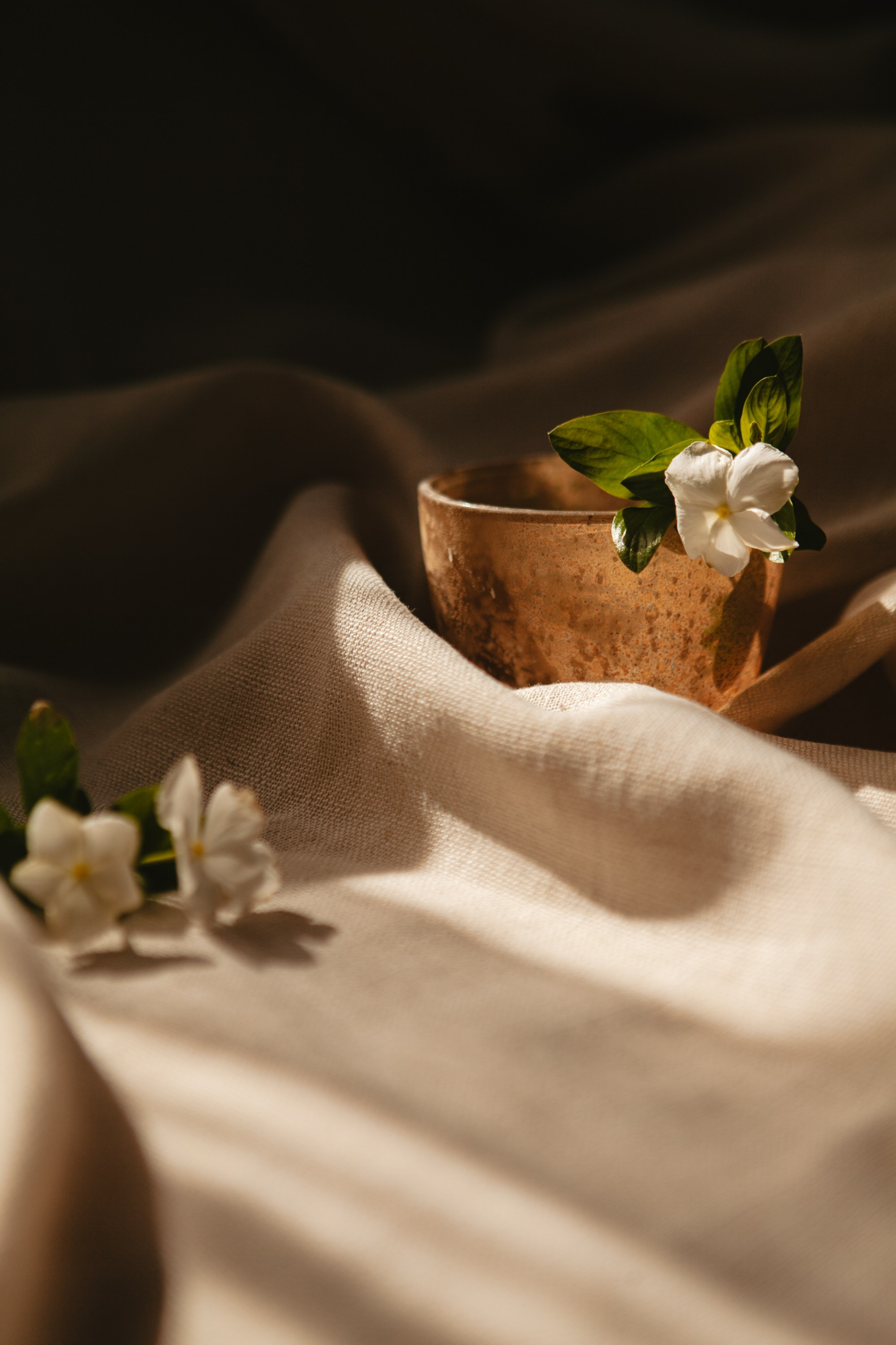 Таро. Виолетта Скрипка