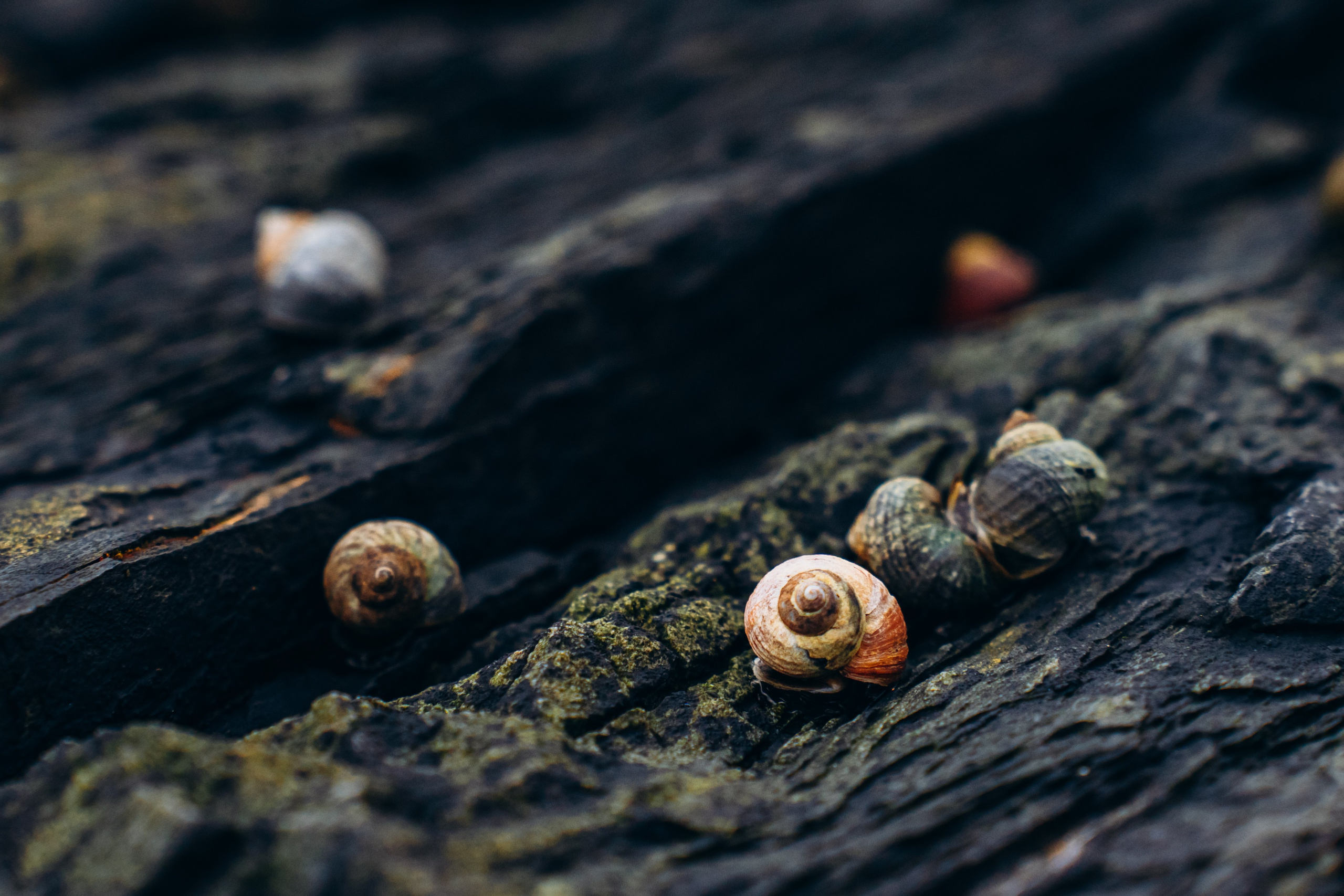 СЕВЕР. Event фотограф Степанова Александра