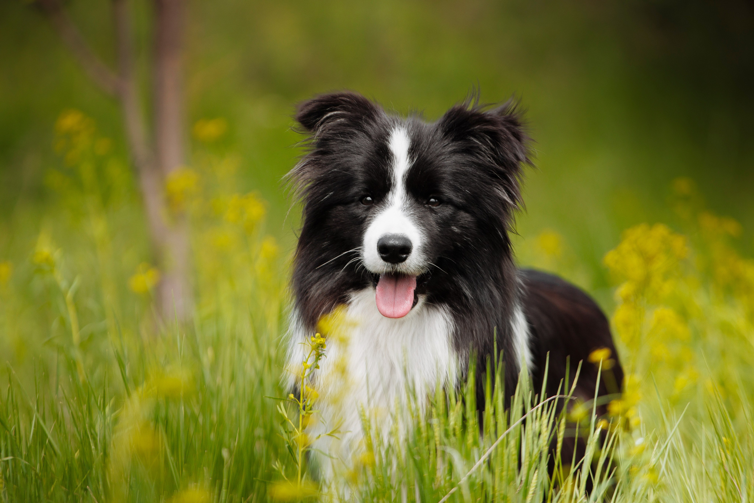 Такой разношерстный Орск 25. О нас