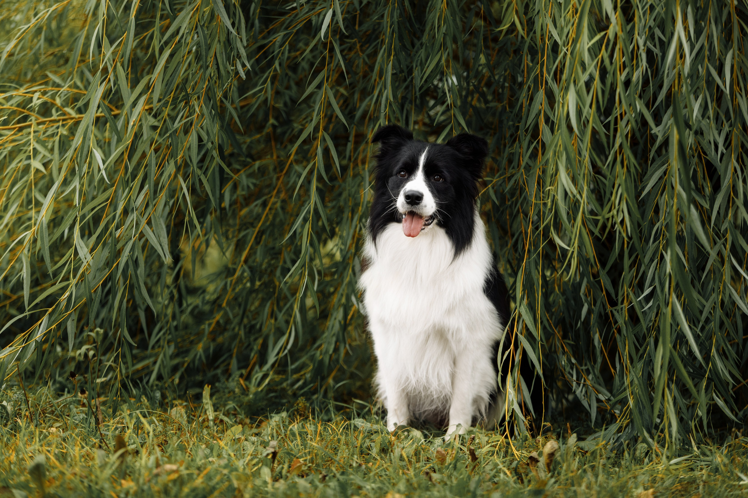 Казань. О нас