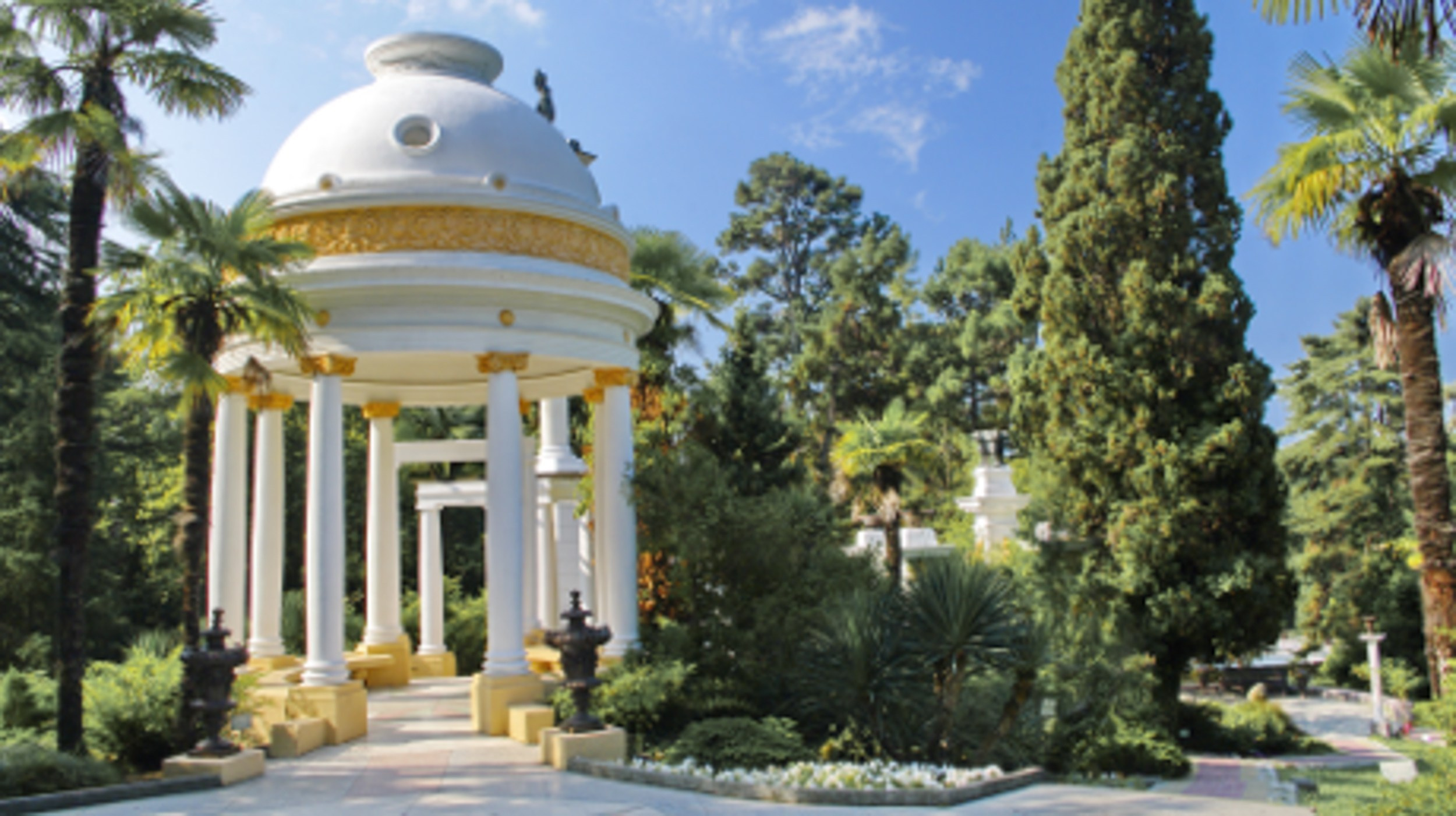 Фотосессия в дендрарии с профессиональным фотографом. Фотограф Сочи Адлер. Солькаева Анастасия