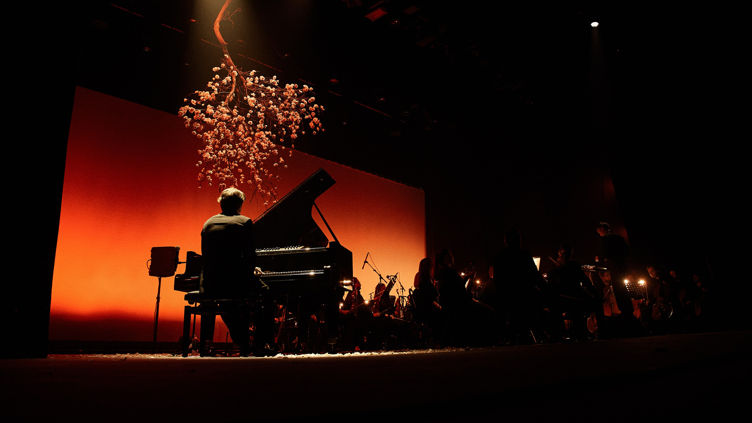 Никола Мельников / 2024. OOPS