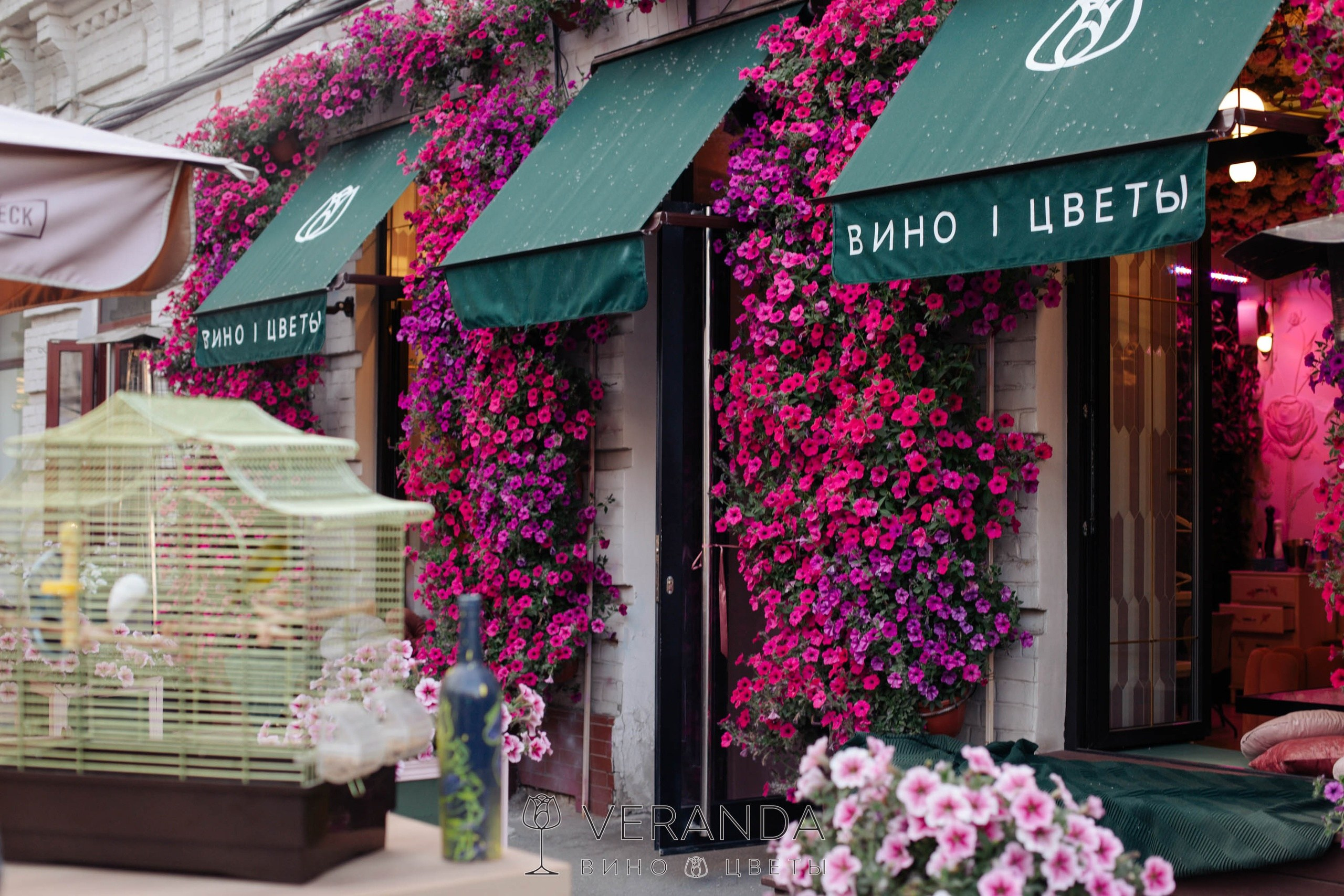 Самара. Маргарита Рубцова свадебный фотограф Тольятти