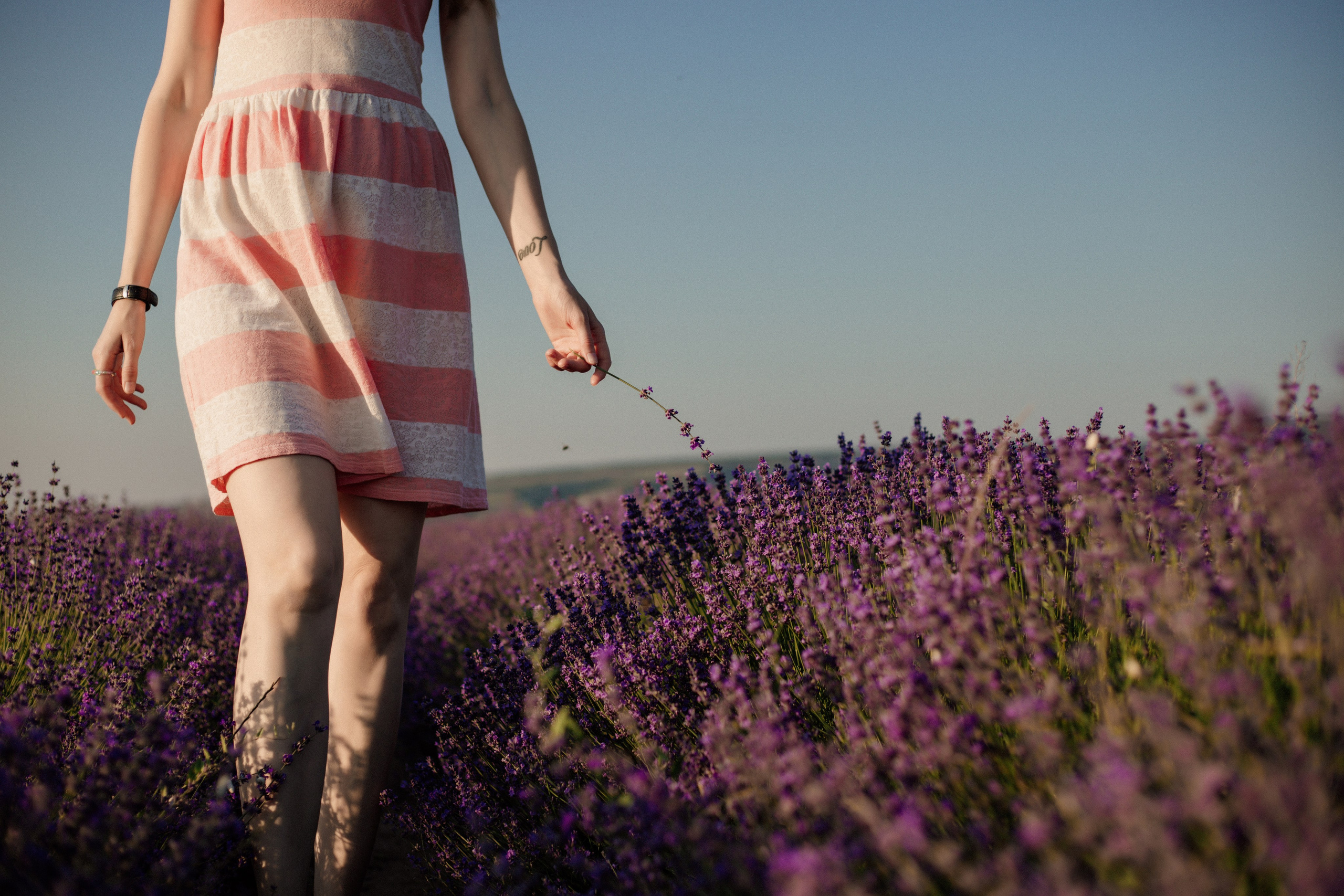 Лаванда. Фотограф и Видеограф Севастополь Крым