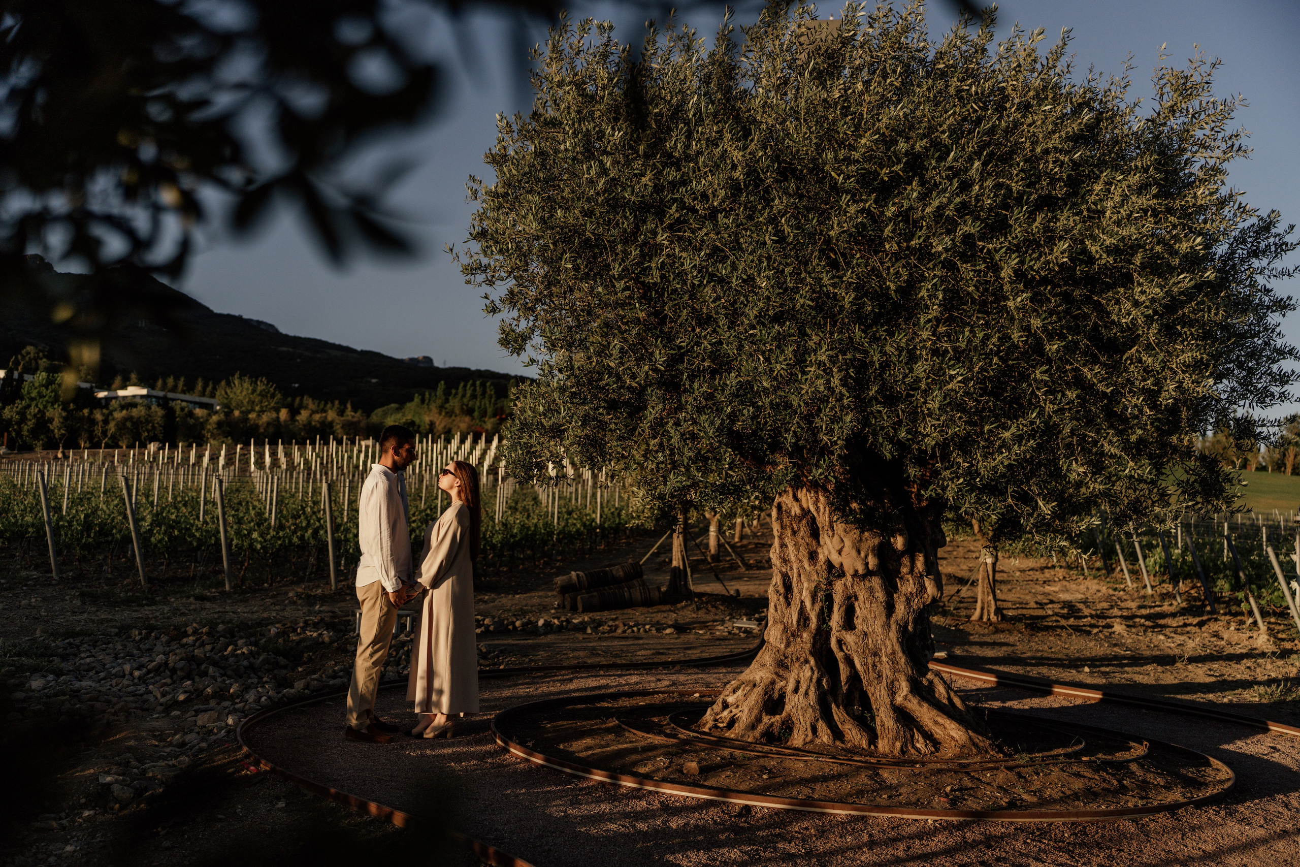 Винный парк (территория отеля Мрия). Фотограф и Видеограф Севастополь Крым