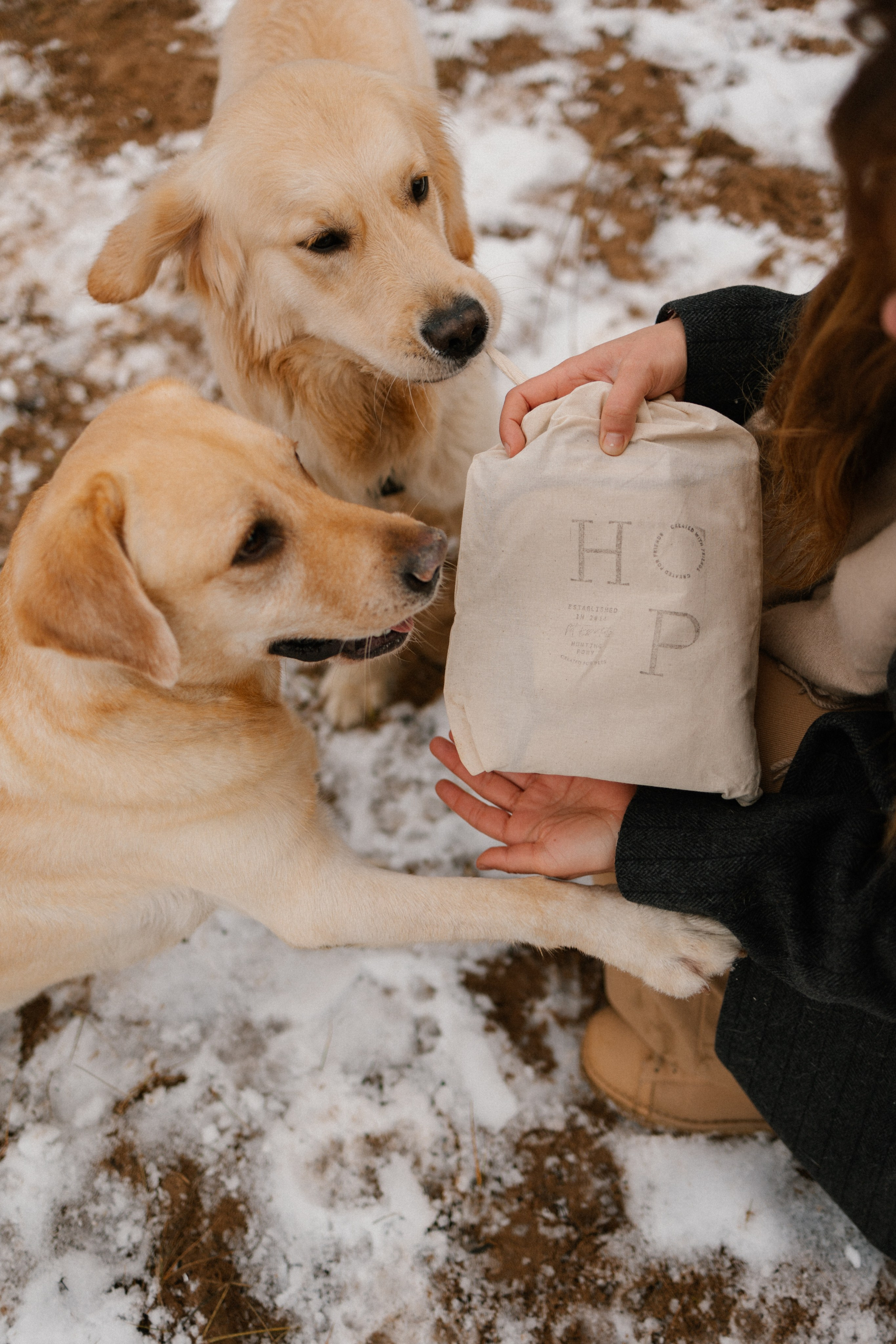 Ирина и Бася. Фотограф — Анималист | Санкт-Петербург