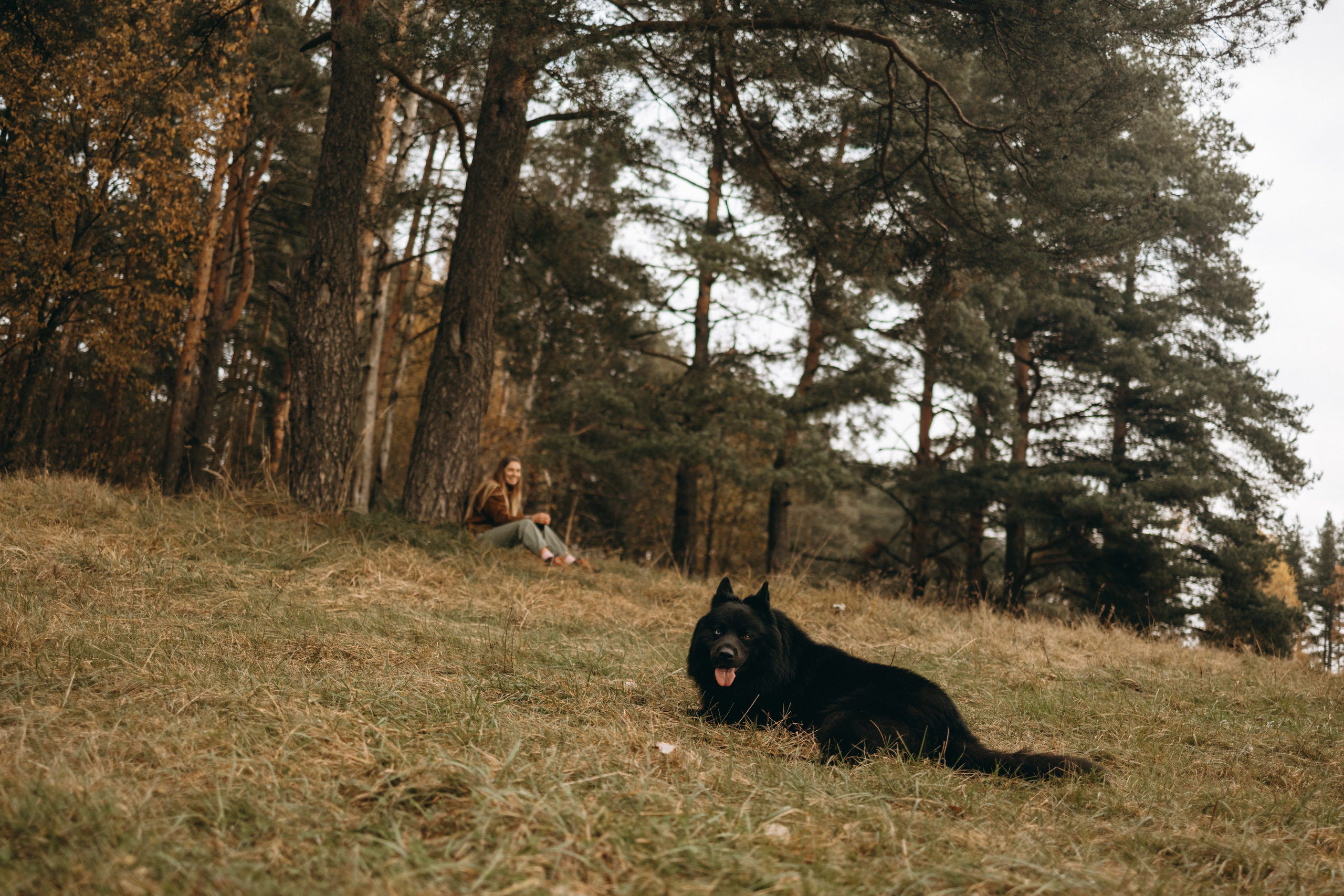 Лора и Джанго. Фотограф — Анималист | Санкт-Петербург