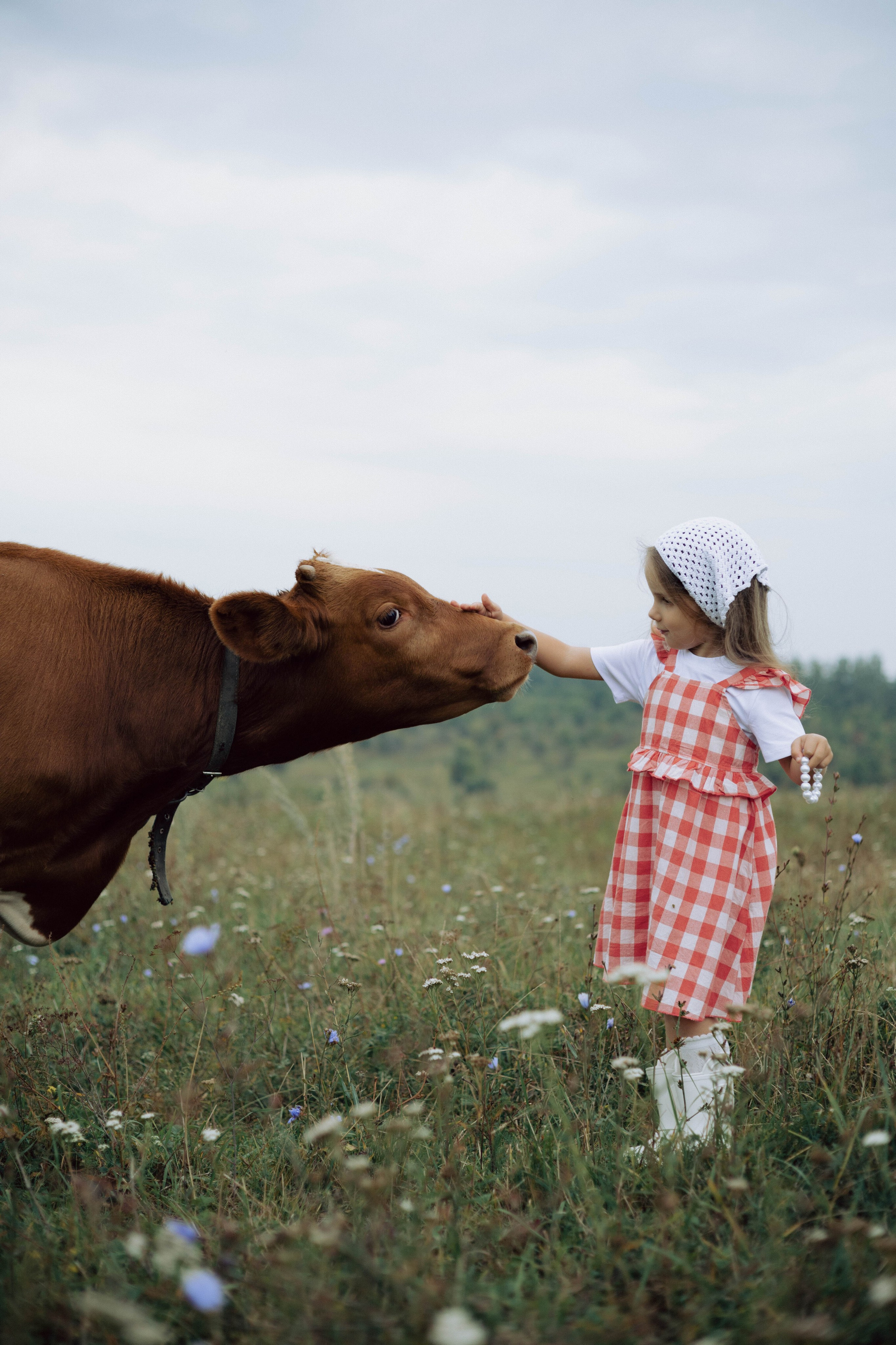 Семейные съемки. Екатерина Серых — фотограф в Курске | Индивидуальные, семейные и love story съёмки